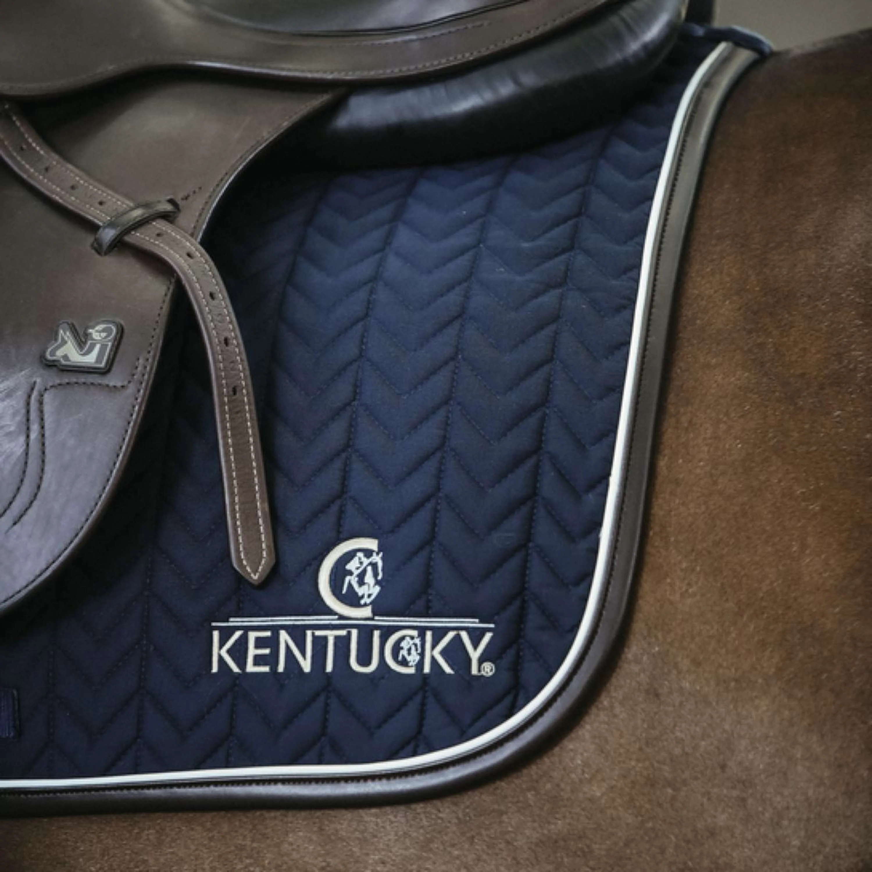 Kentucky Horsewear Sottosella a molla Fishbone Pelle Navy - Image 3