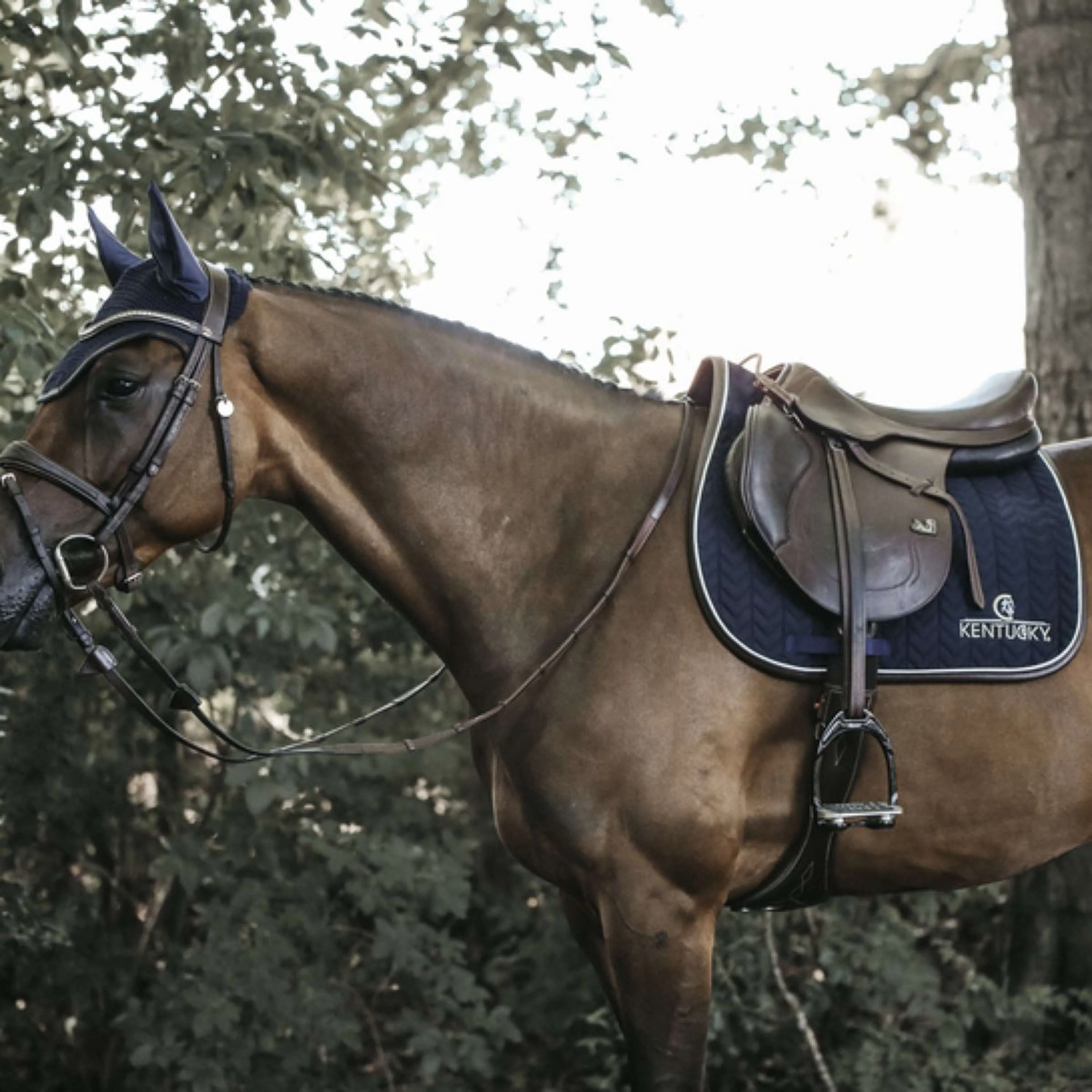Kentucky Horsewear Sottosella a molla Fishbone Pelle Navy - Image 4