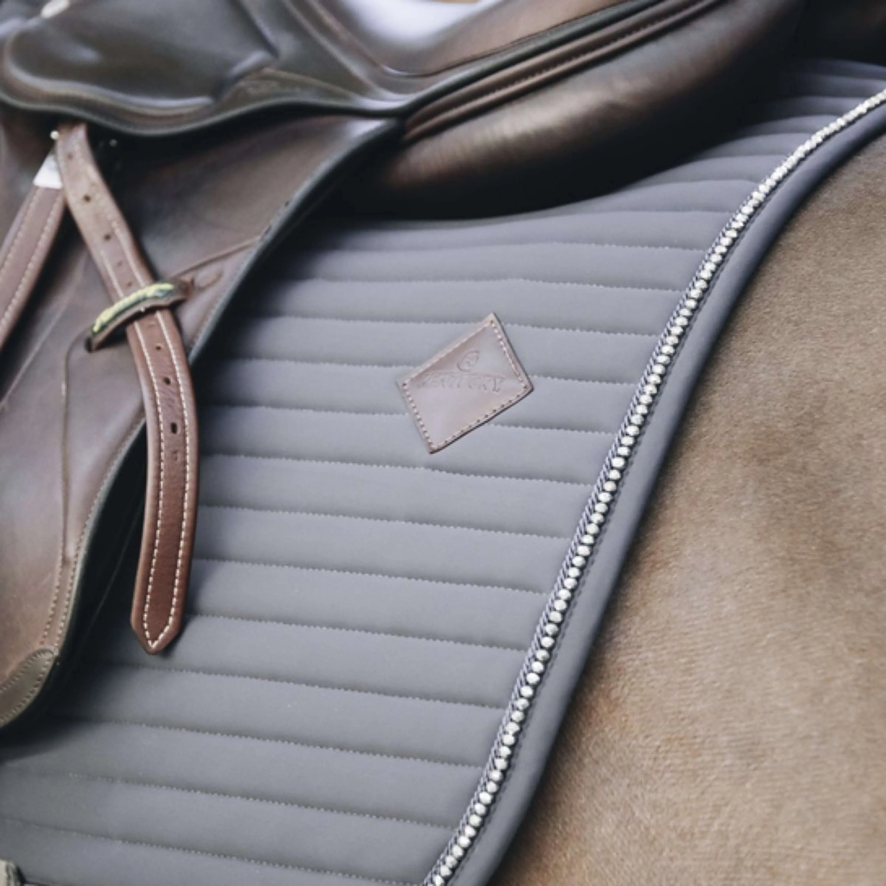 Kentucky Horsewear Sottosella da Salto Pearls Grigio - Image 3