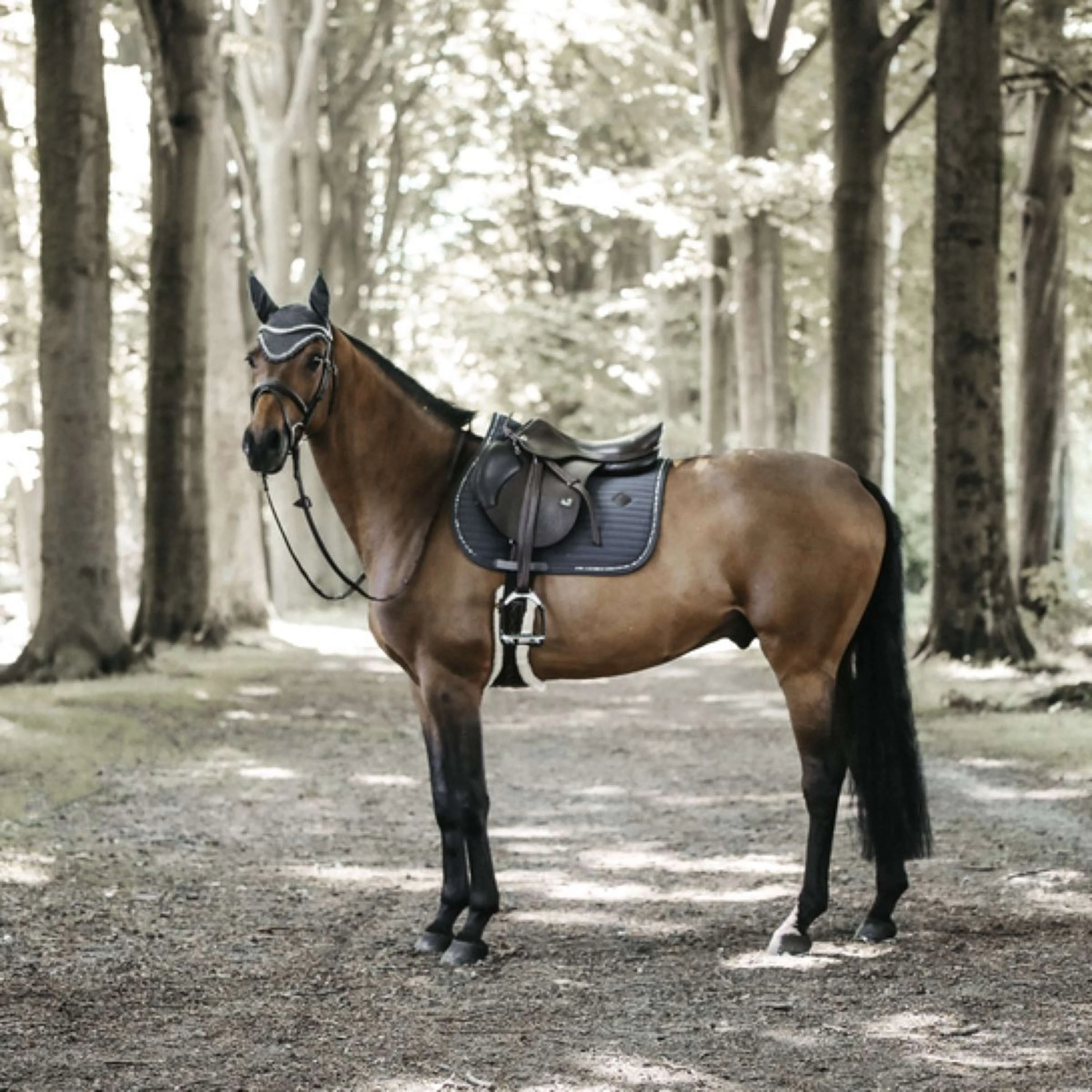 Kentucky Horsewear Sottosella da Salto Pearls Grigio - Image 4