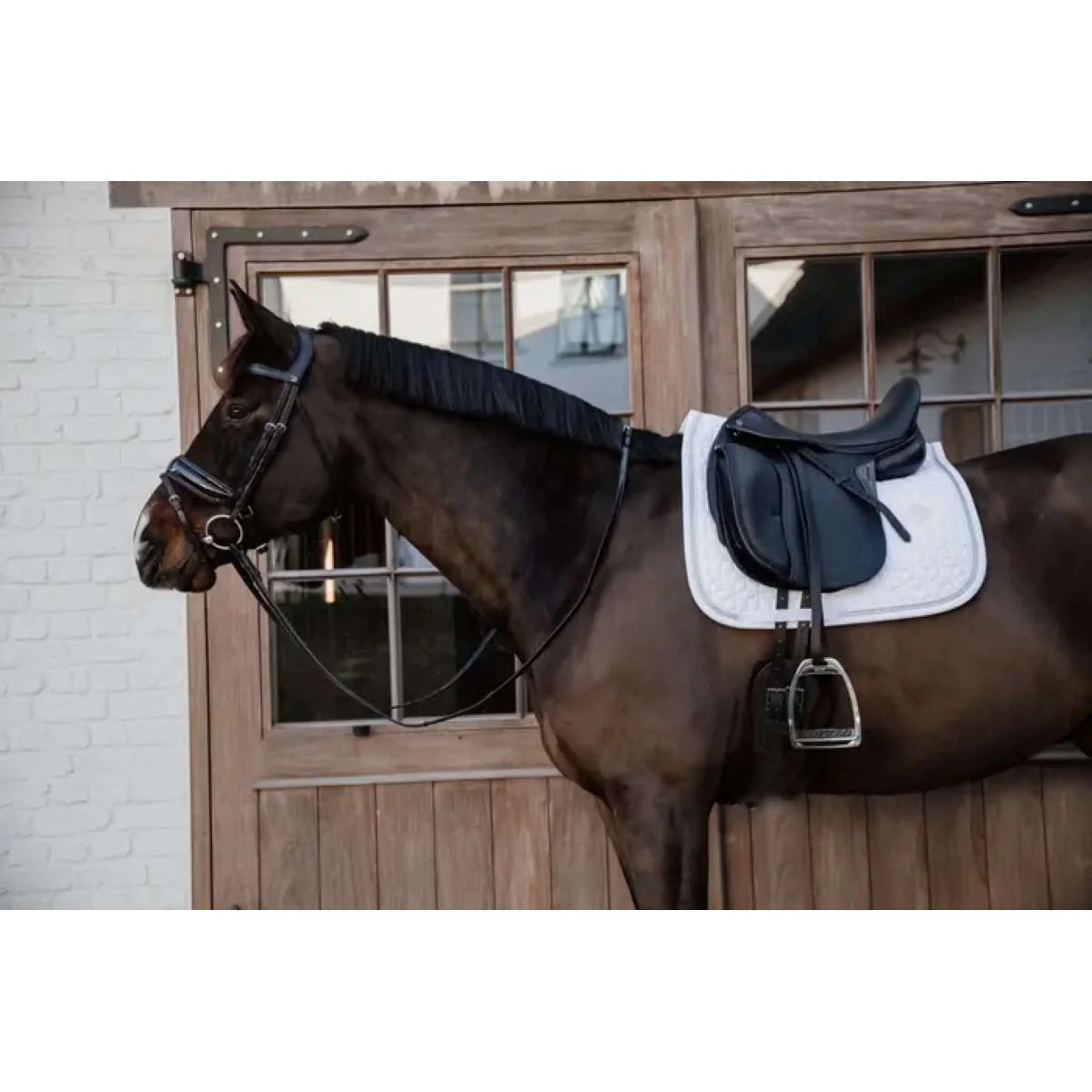 Kentucky Horsewear Sottosella Glitter Rope Bianco/Bianco - Image 5