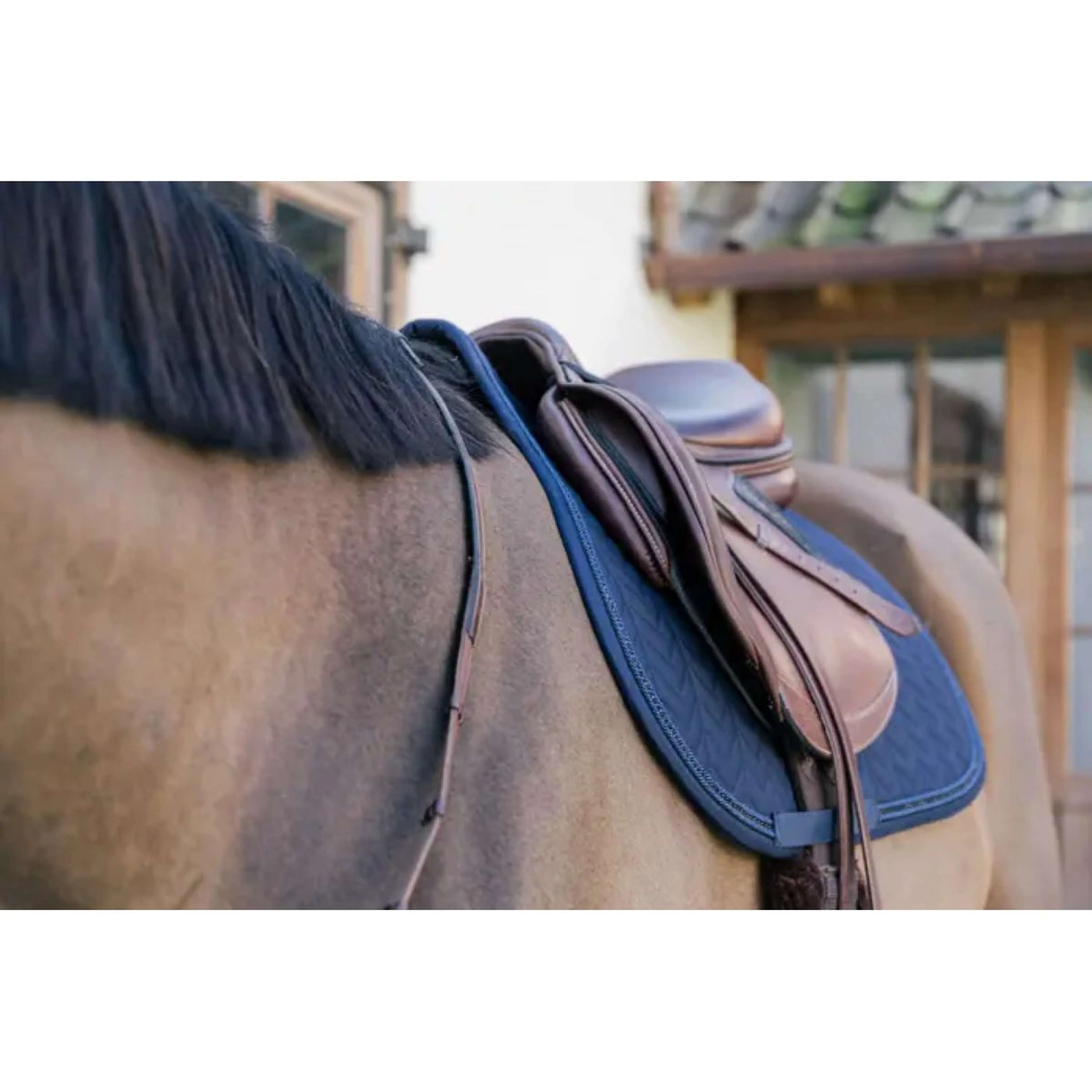 Kentucky Horsewear Sottosella Metal Chain Saltando Navy - Image 3