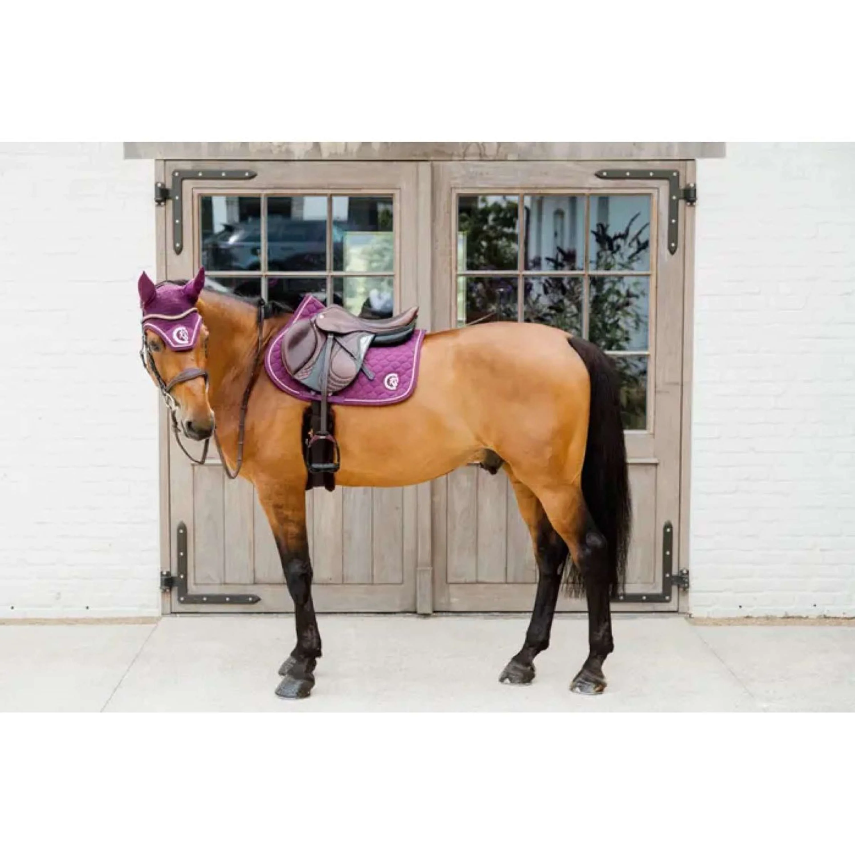 Kentucky Horsewear Sottosella Onion Quilt 3D Logo Saltando Viola - Image 5