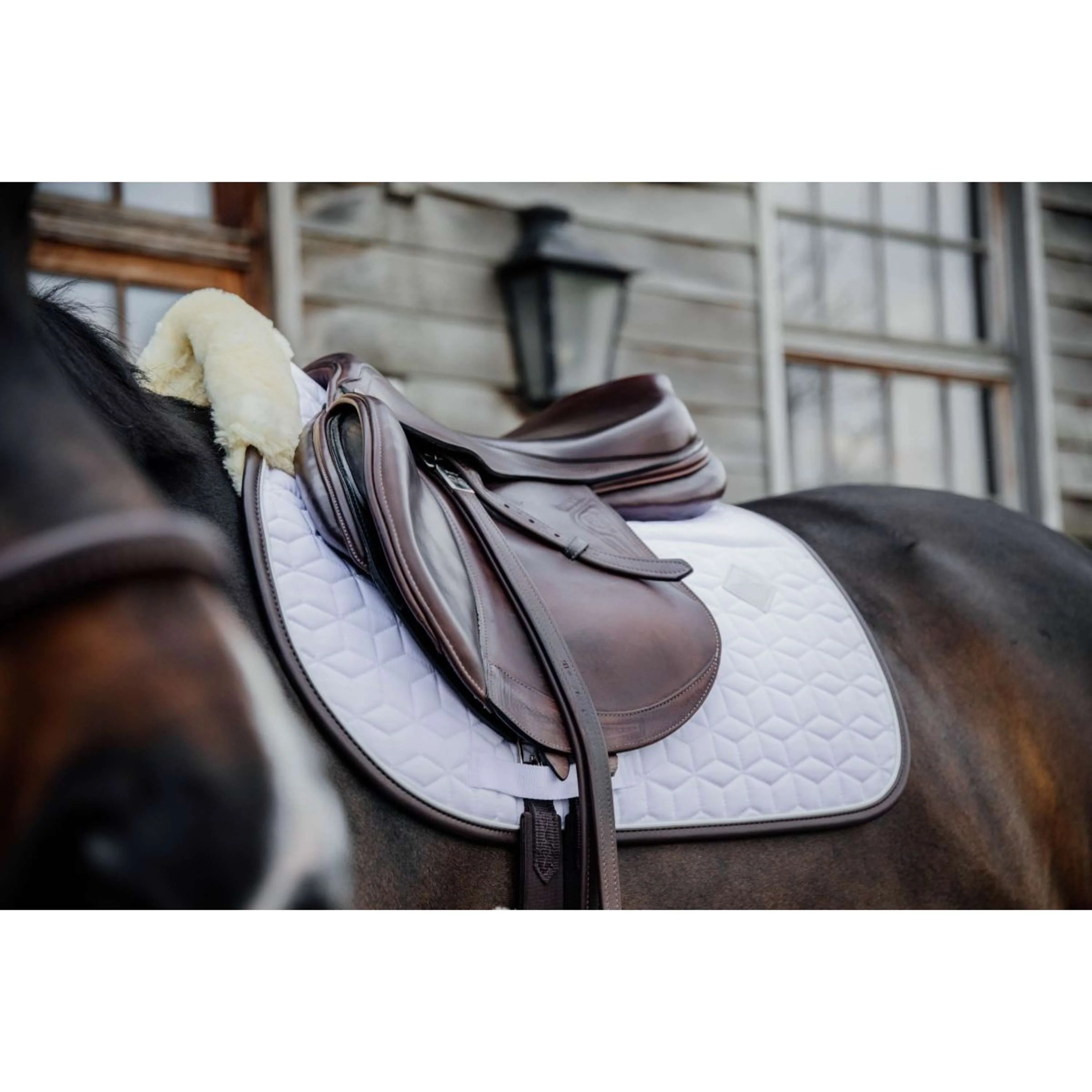 Kentucky Horsewear Sottosella Skin Friendly Saltando Bianco - Image 3