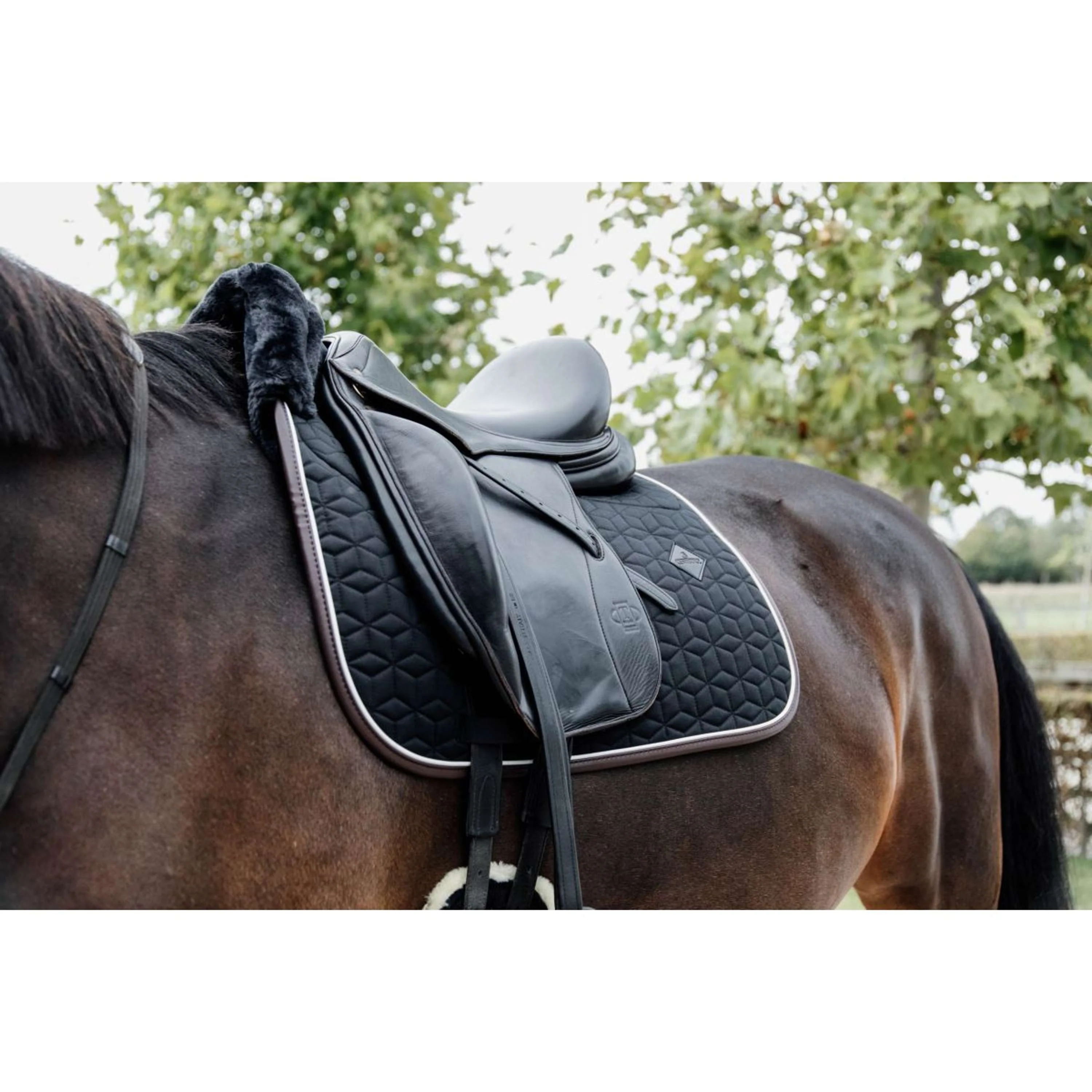 Kentucky Horsewear Sottosella Skin Friendly Nero - Image 3