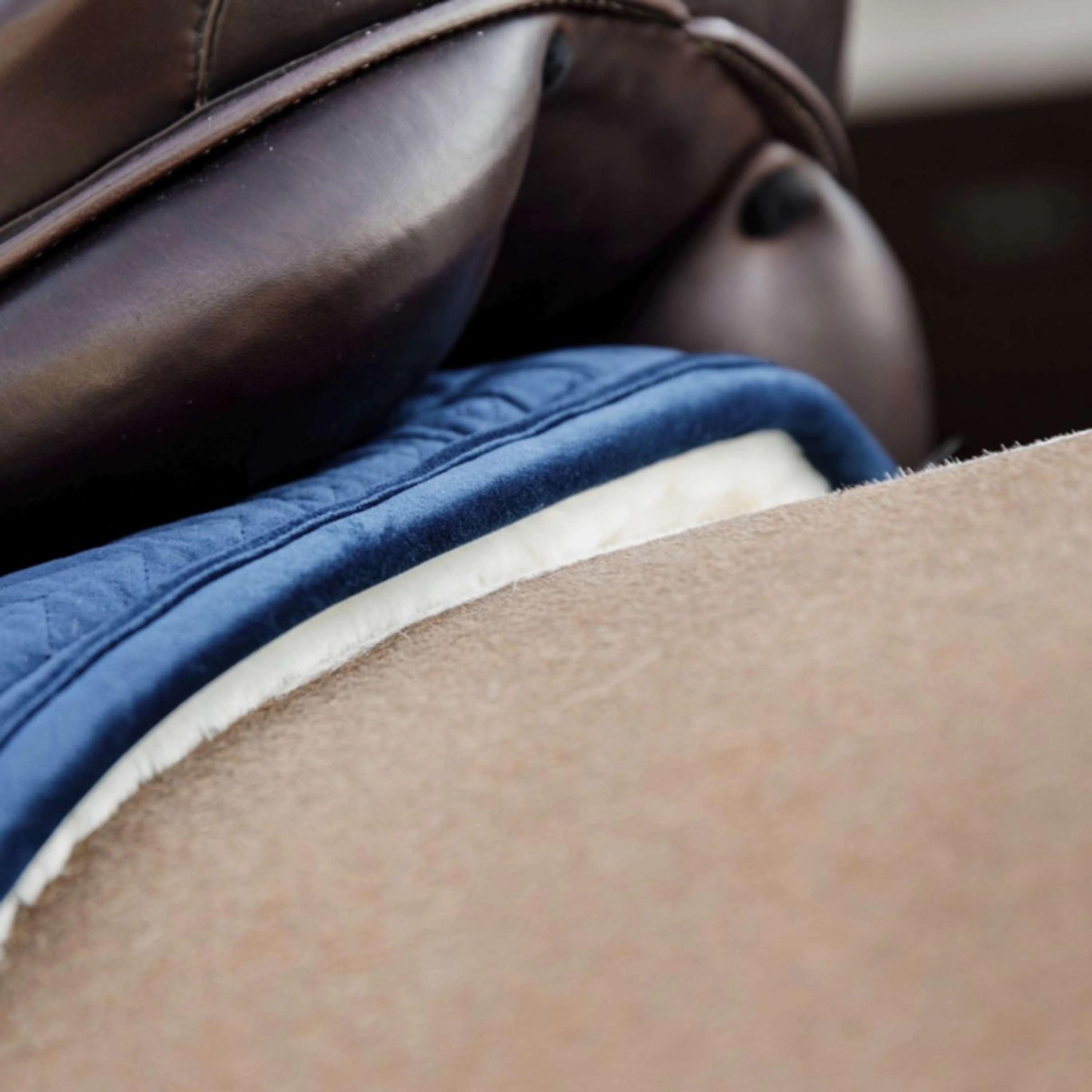 Kentucky Horsewear Sottosella Skin Friendly Velvet Dressage Navy - Image 2