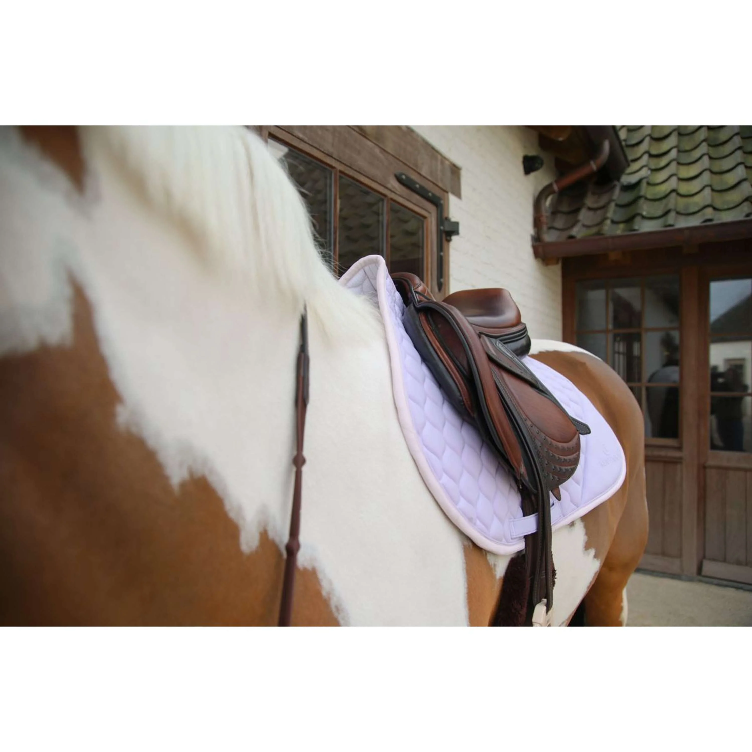 Kentucky Horsewear Sottosella Softshell Onion Quilt saltando Viola chiaro/Rosa chiaro - Image 7