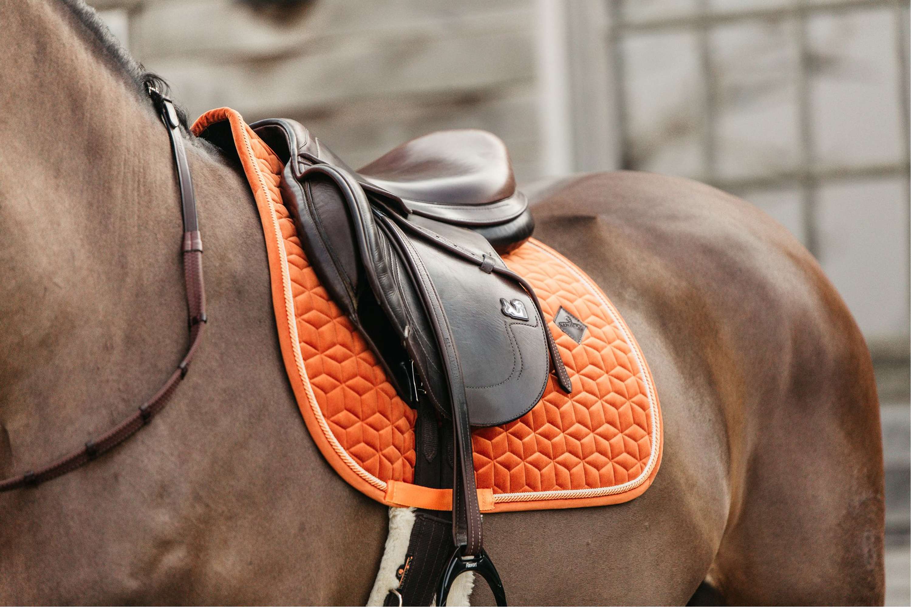 Kentucky Horsewear Sottosella Velvet Arancia - Image 2