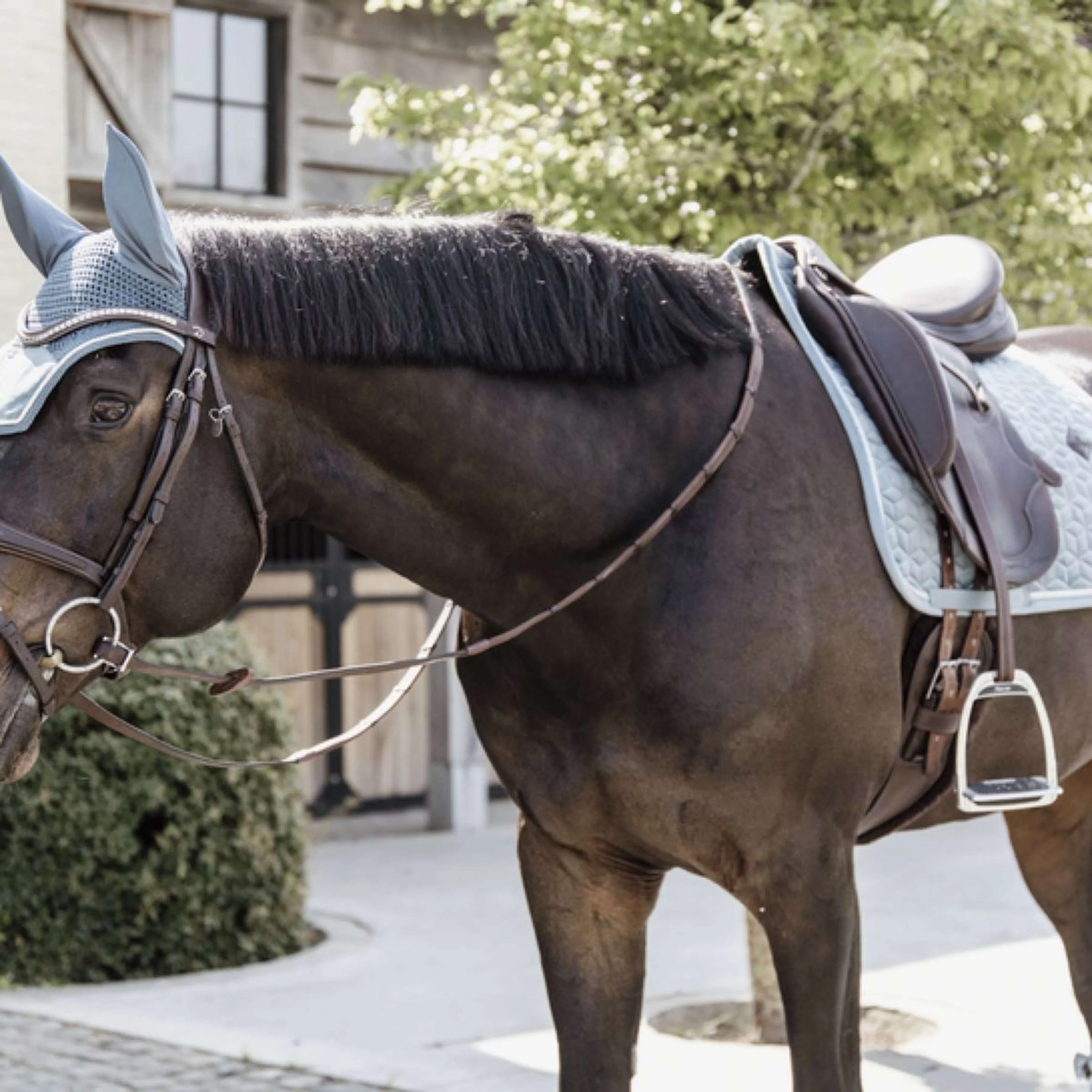 Kentucky Horsewear Sottosella Velvet Azzurro - Image 4