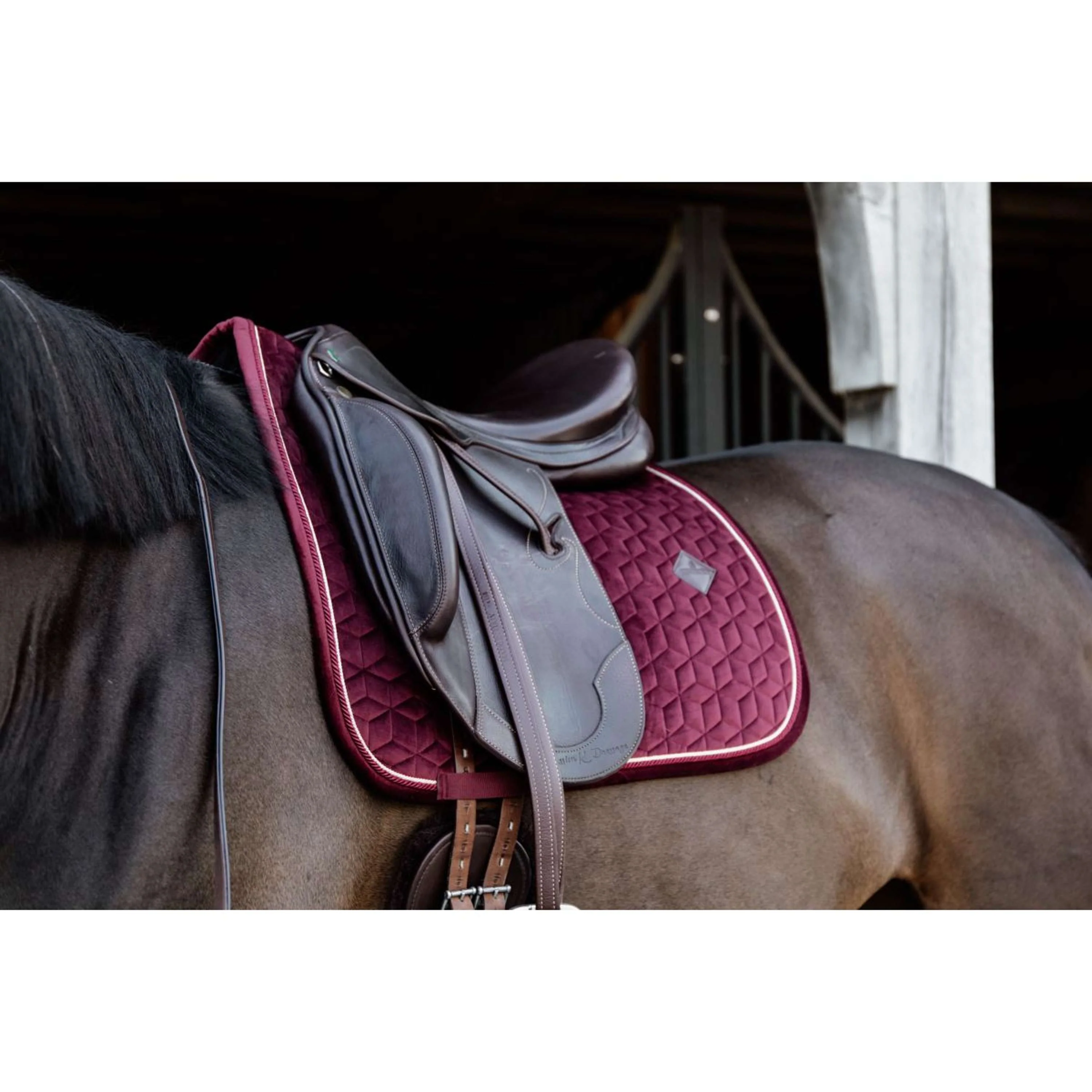 Kentucky Horsewear Sottosella Velvet Bordeaux - Image 3