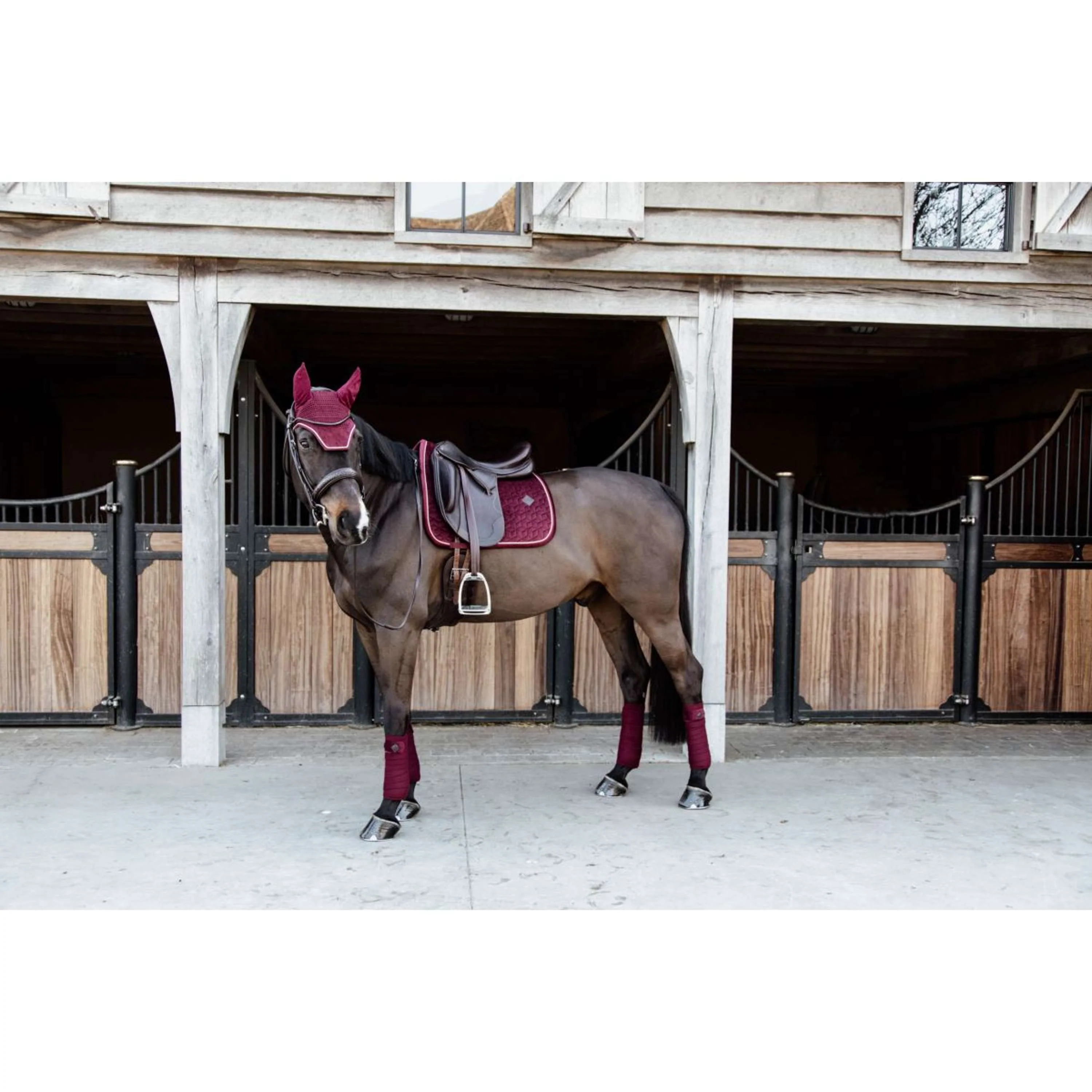 Kentucky Horsewear Sottosella Velvet Bordeaux - Image 6