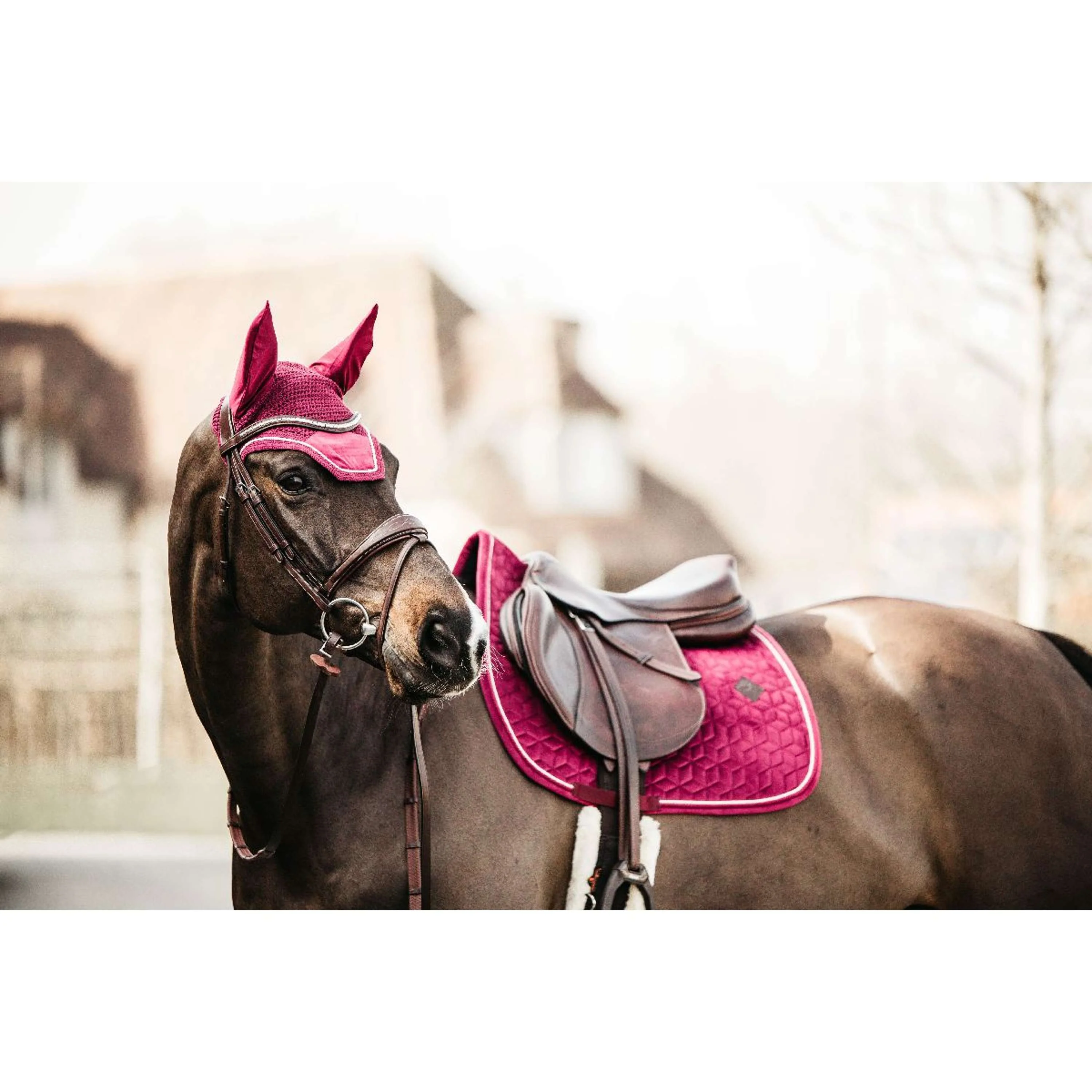 Kentucky Horsewear Sottosella Velvet Saltando Fuchsia