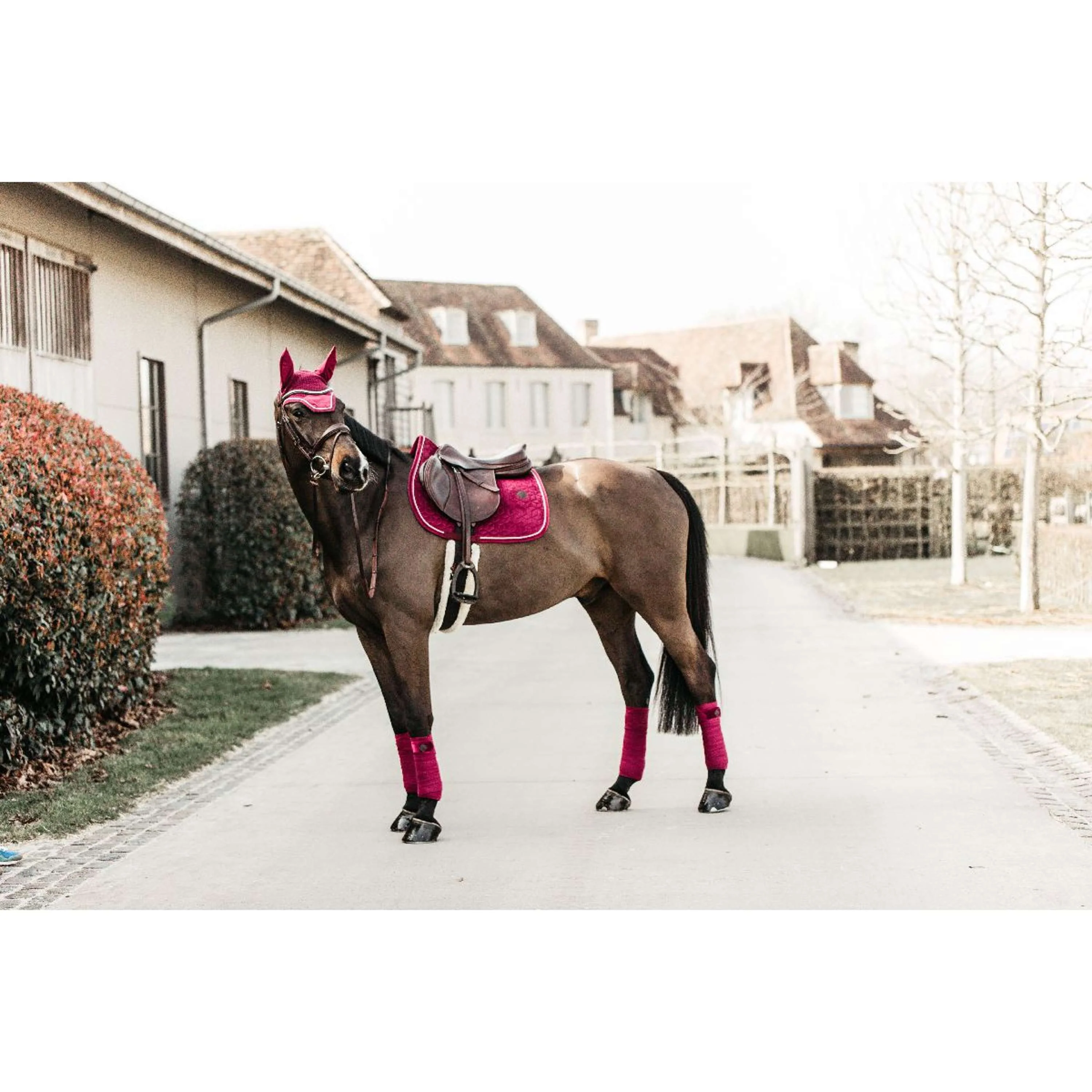 Kentucky Horsewear Sottosella Velvet Saltando Fuchsia - Image 4