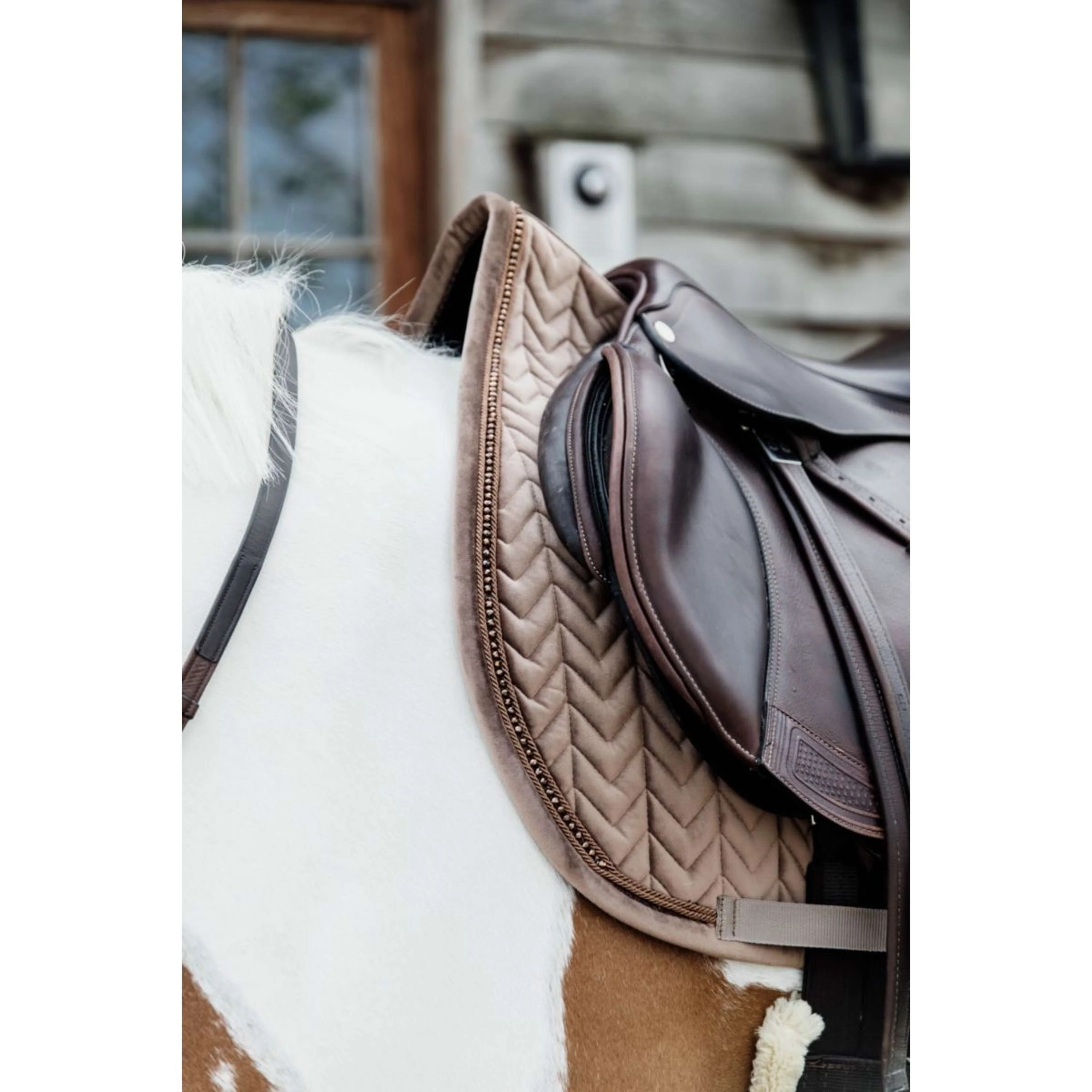 Kentucky Horsewear Sottosella Velvet Pearls Saltando Beige - Image 3