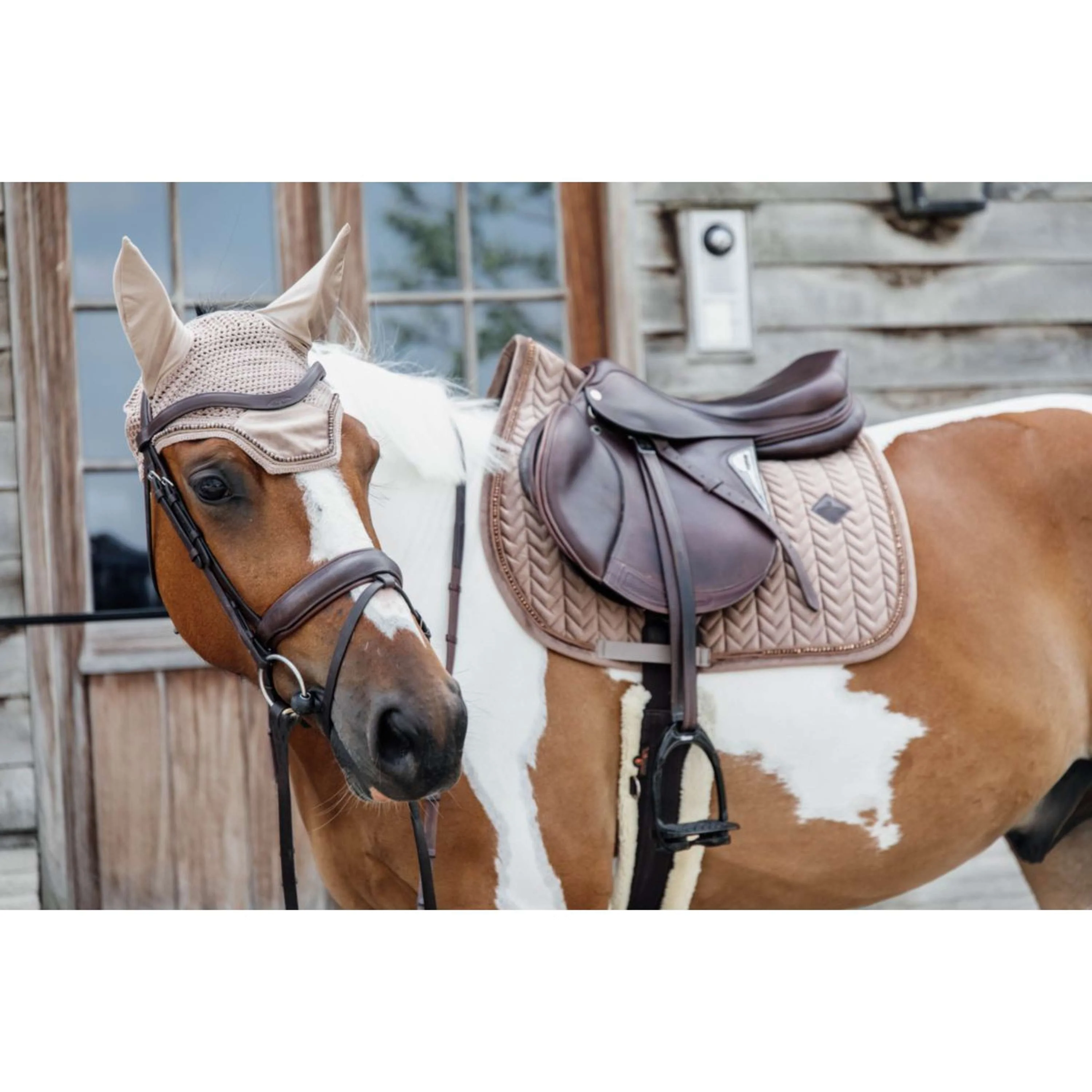 Kentucky Horsewear Sottosella Velvet Pearls Saltando Beige - Image 4