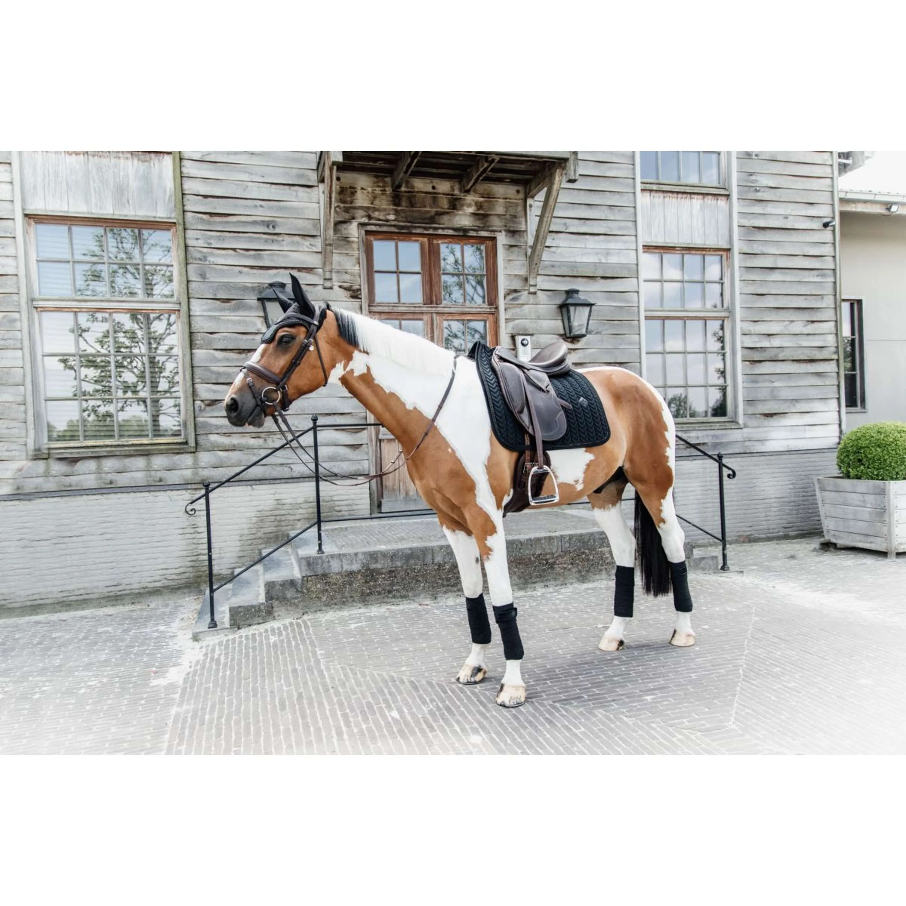 Kentucky Horsewear Sottosella Velvet Pearls Nero - Image 4