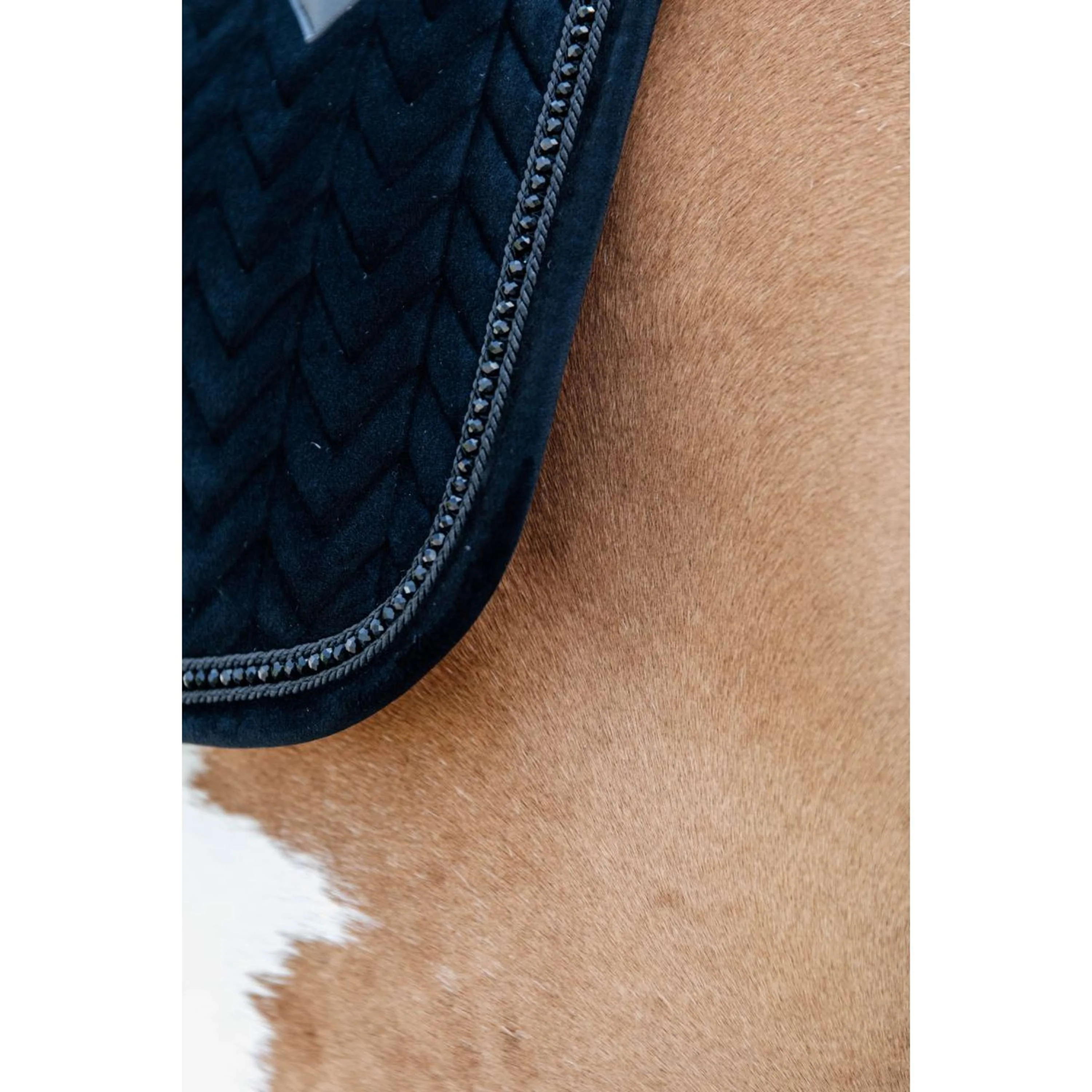 Kentucky Horsewear Sottosella Velvet Pearls Nero - Image 8