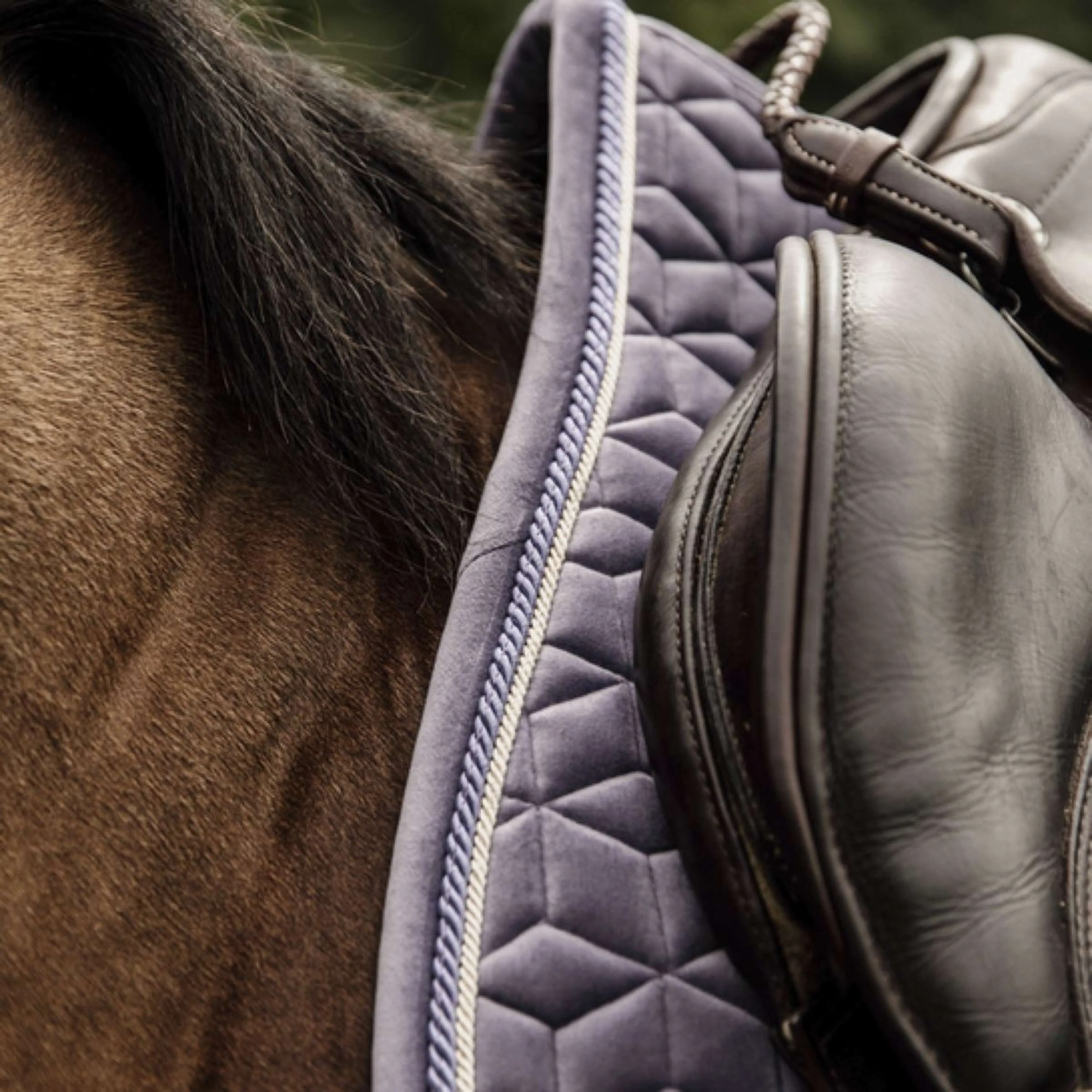 Kentucky Horsewear Sottosella Salto di velluto Purper - Image 2