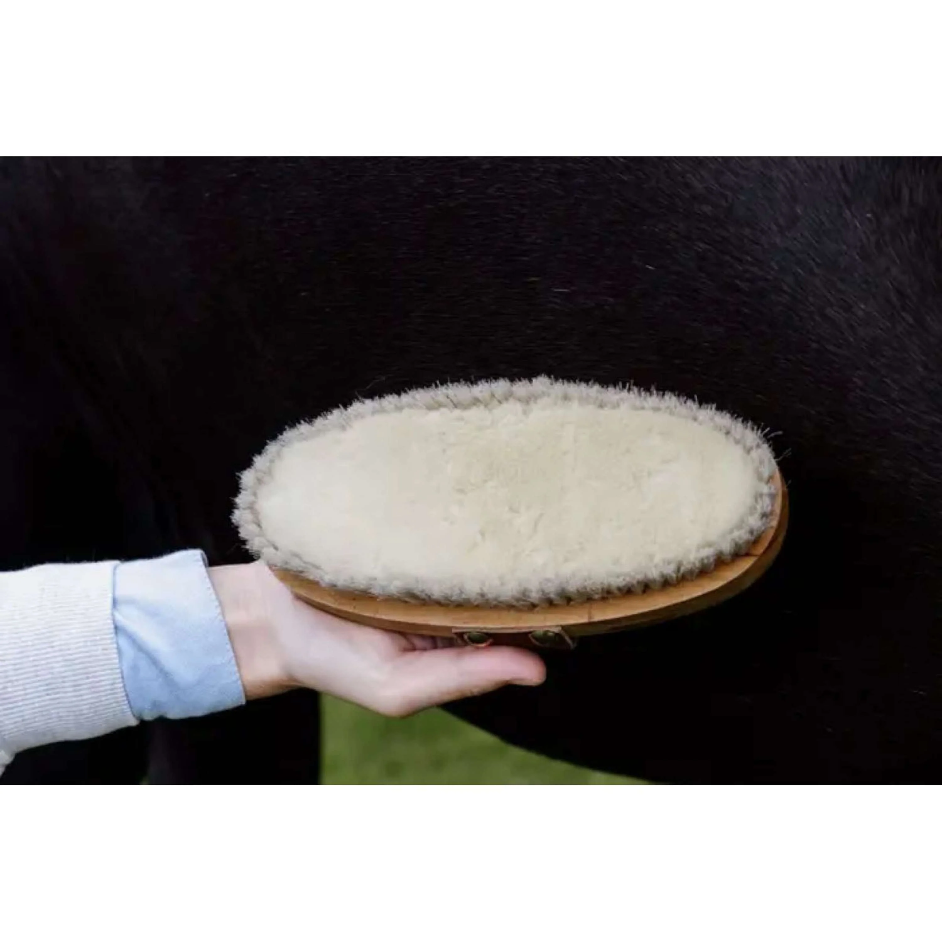 Kentucky Horsewear Spazzola Soft Shine - Image 4