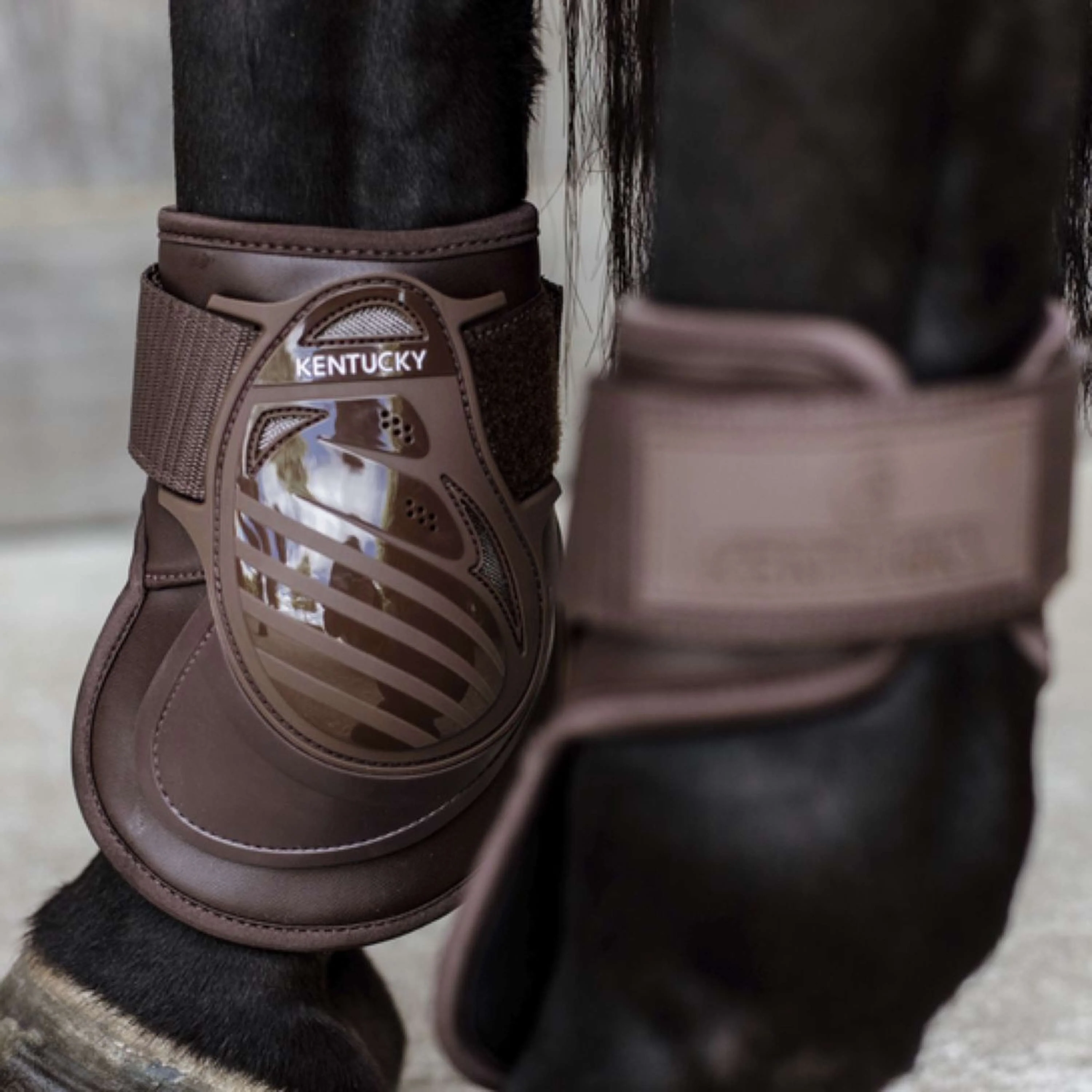 Kentucky Horsewear Stinchiere Deep Marrone - Image 3