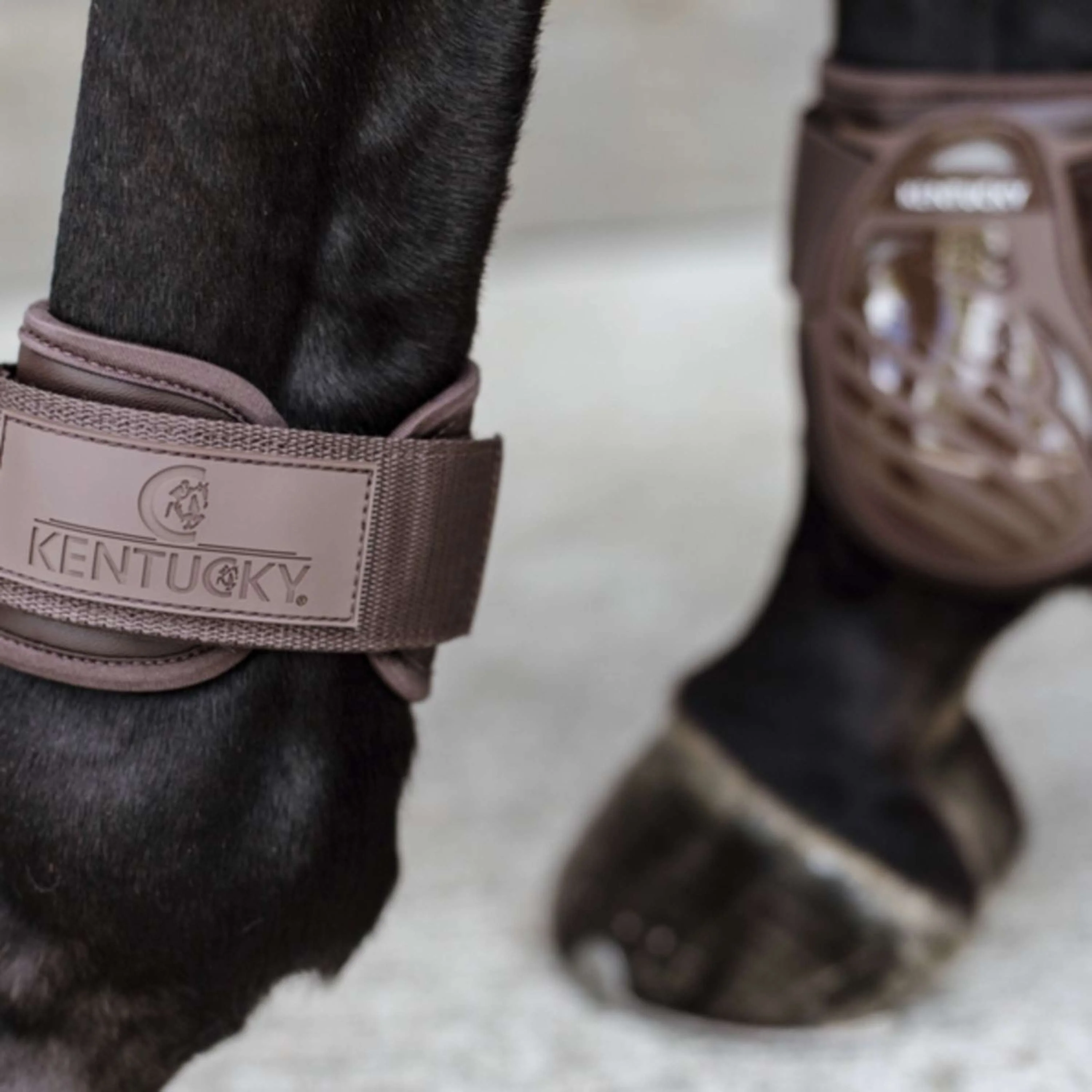 Kentucky Horsewear Stinchiere Young Horse Marrone - Image 5