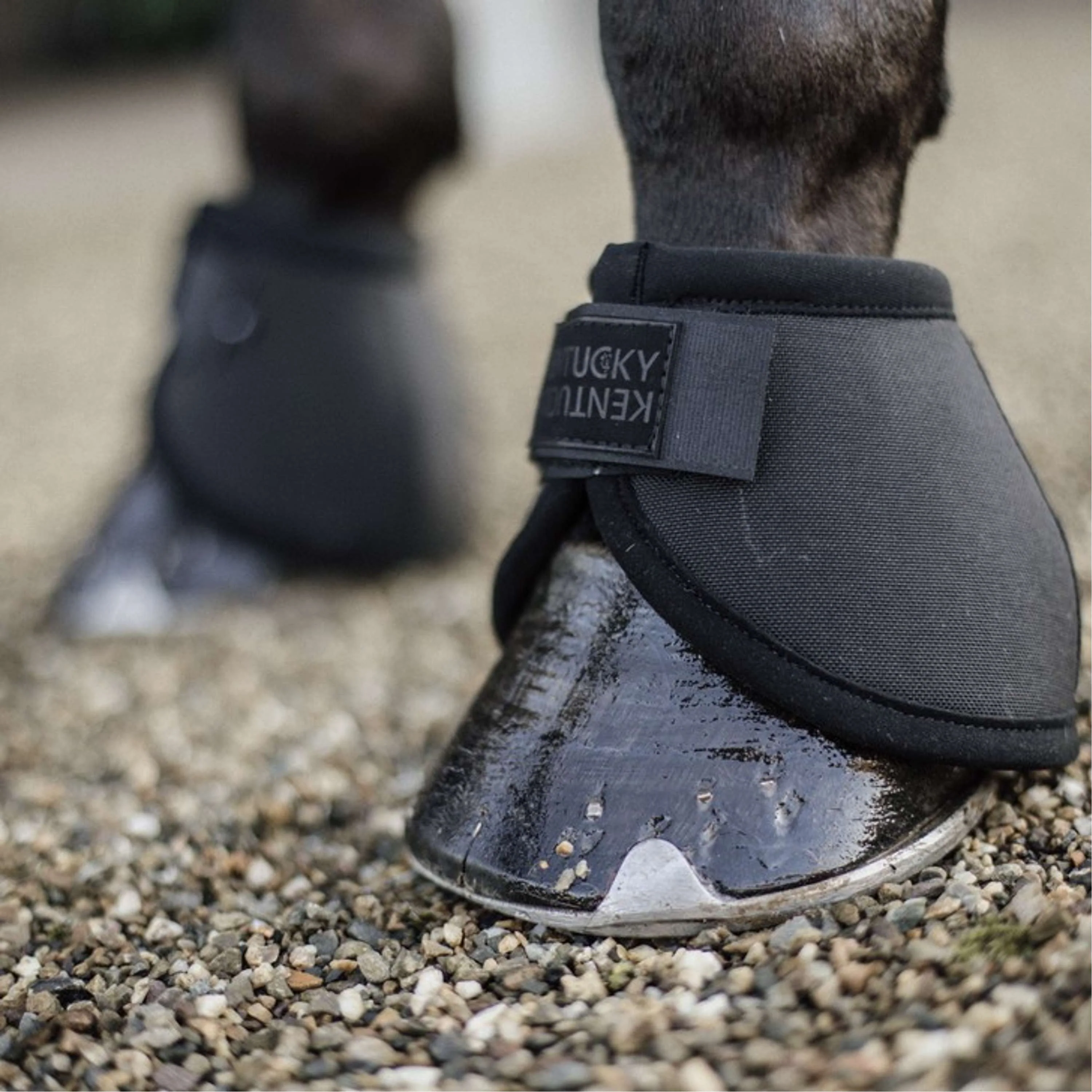 Kentucky Horsewear Stivaletti a Campana Heel Protection Nero