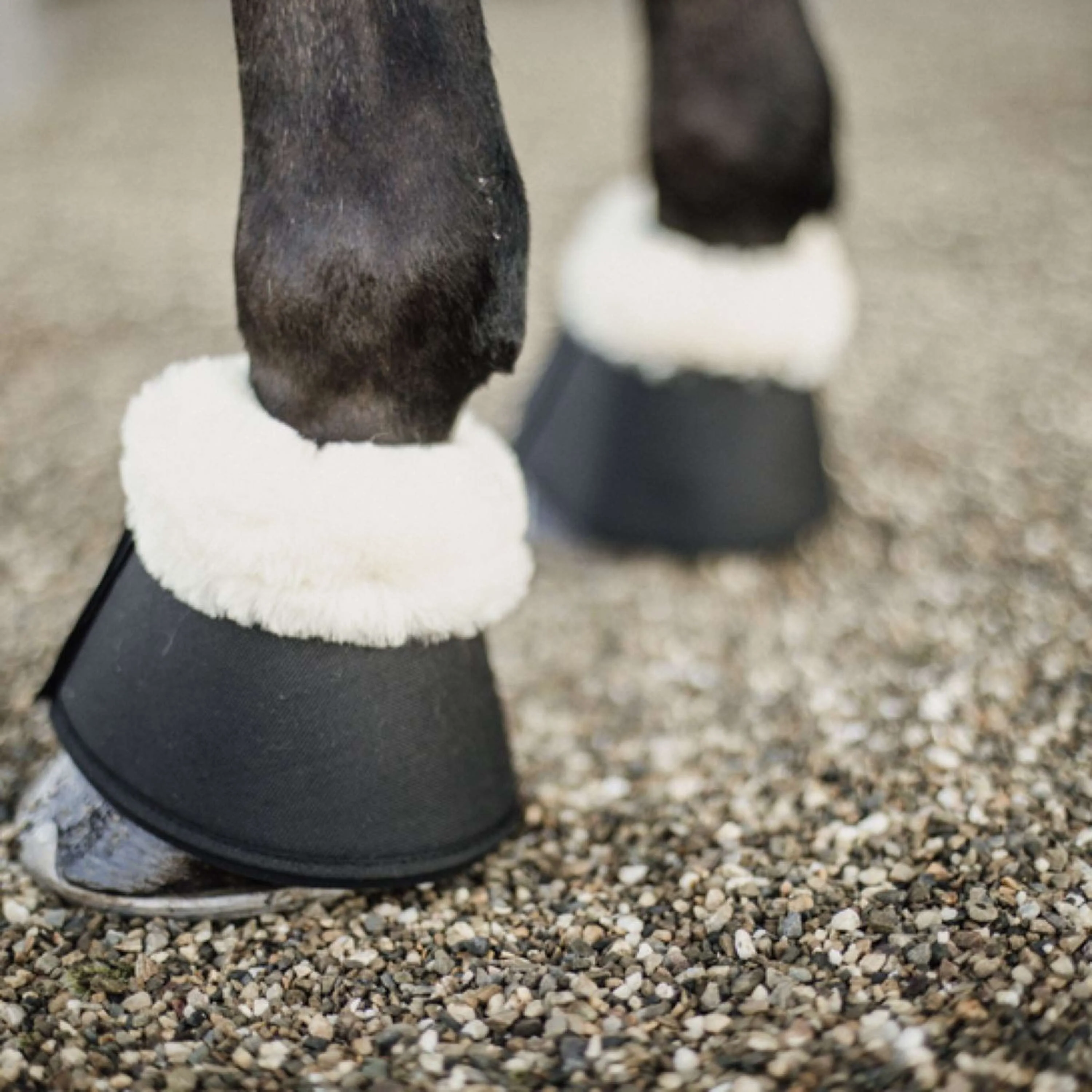 Kentucky Horsewear Stivaletti a Campana Sheepskin Nero - Image 2