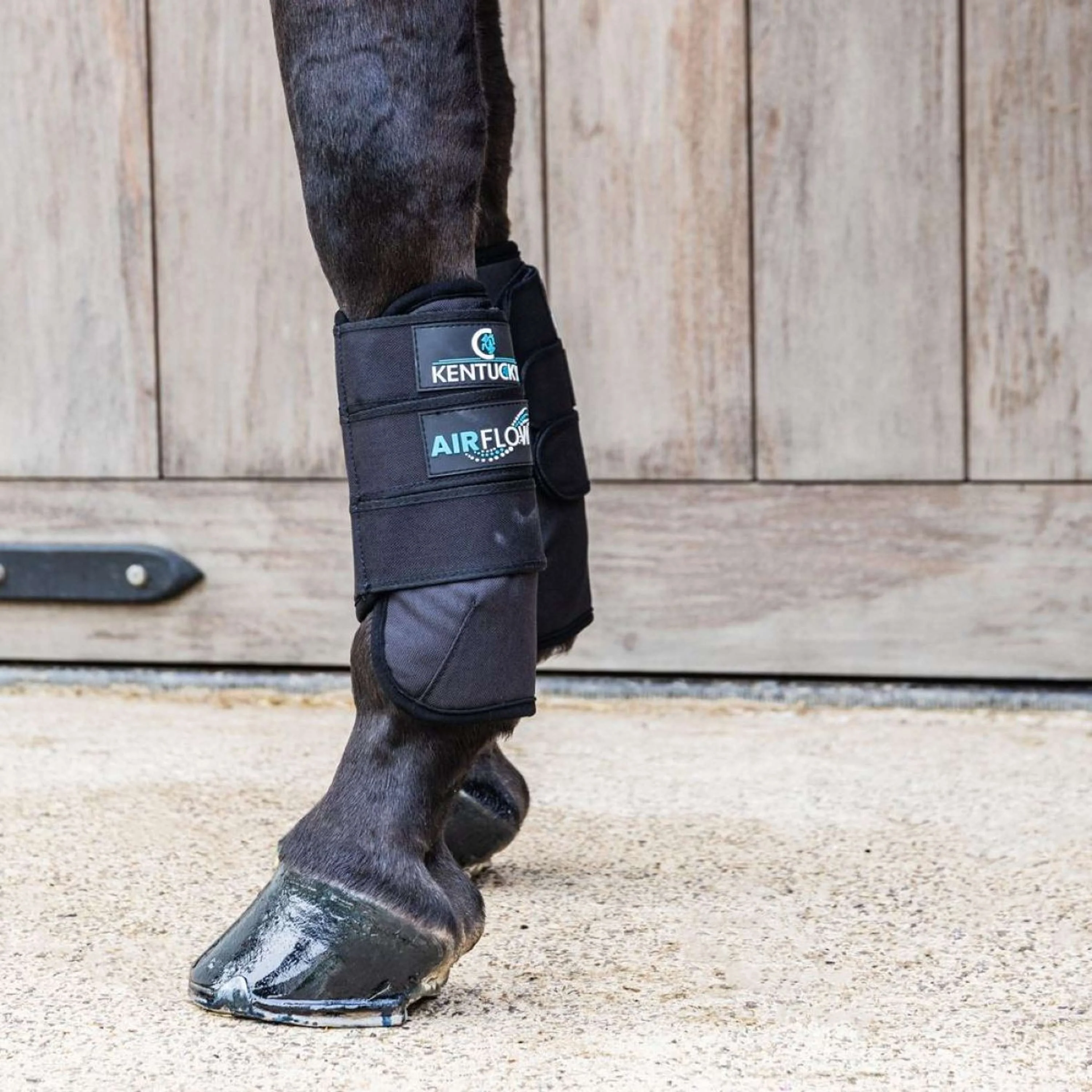 Kentucky Horsewear Stivali da completo 3D Air Flow Delicato sulla pelle Front Nero - Image 3