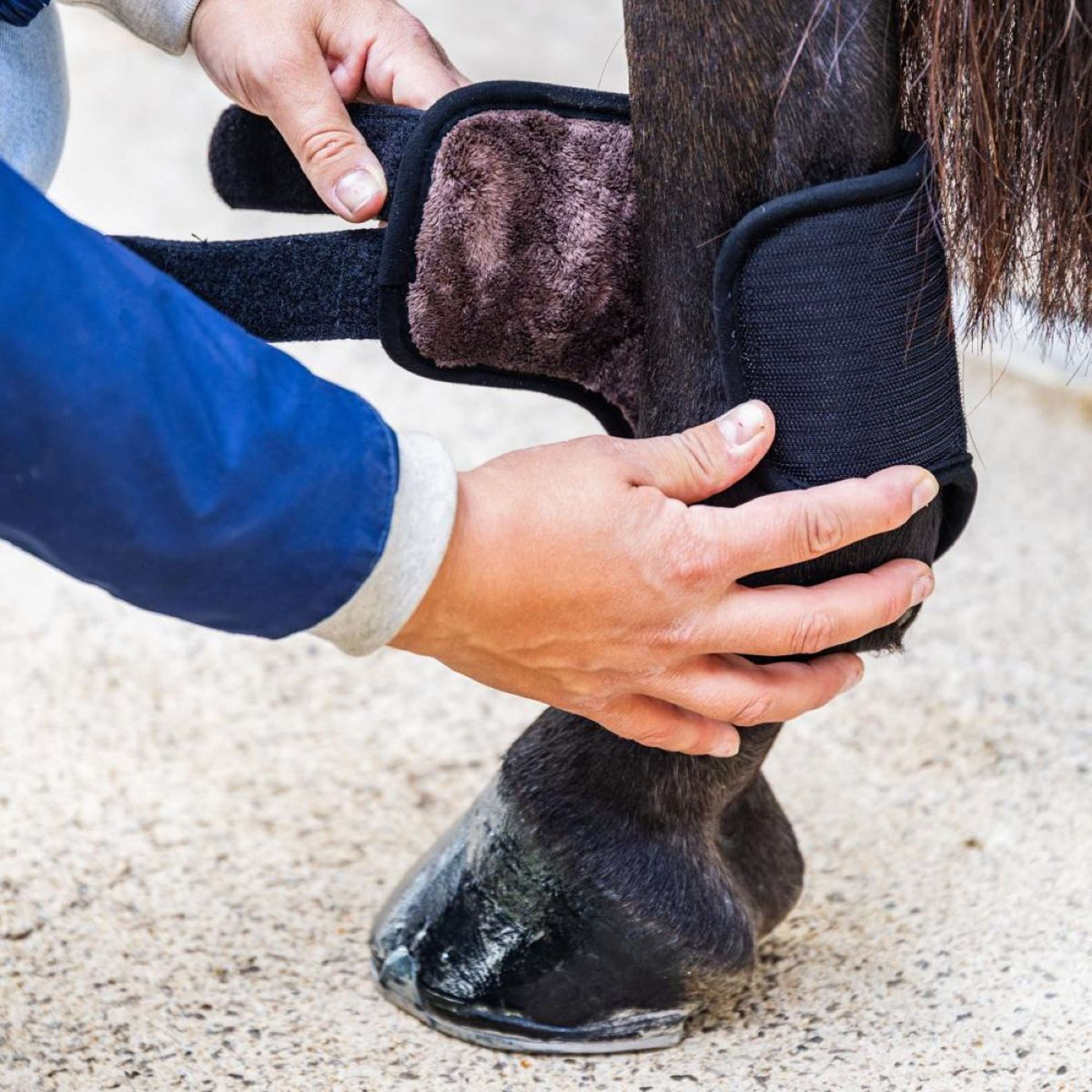 Kentucky Horsewear Stivali da completo 3D Air Flow Delicato sulla pelle Short Hind Nero - Image 2