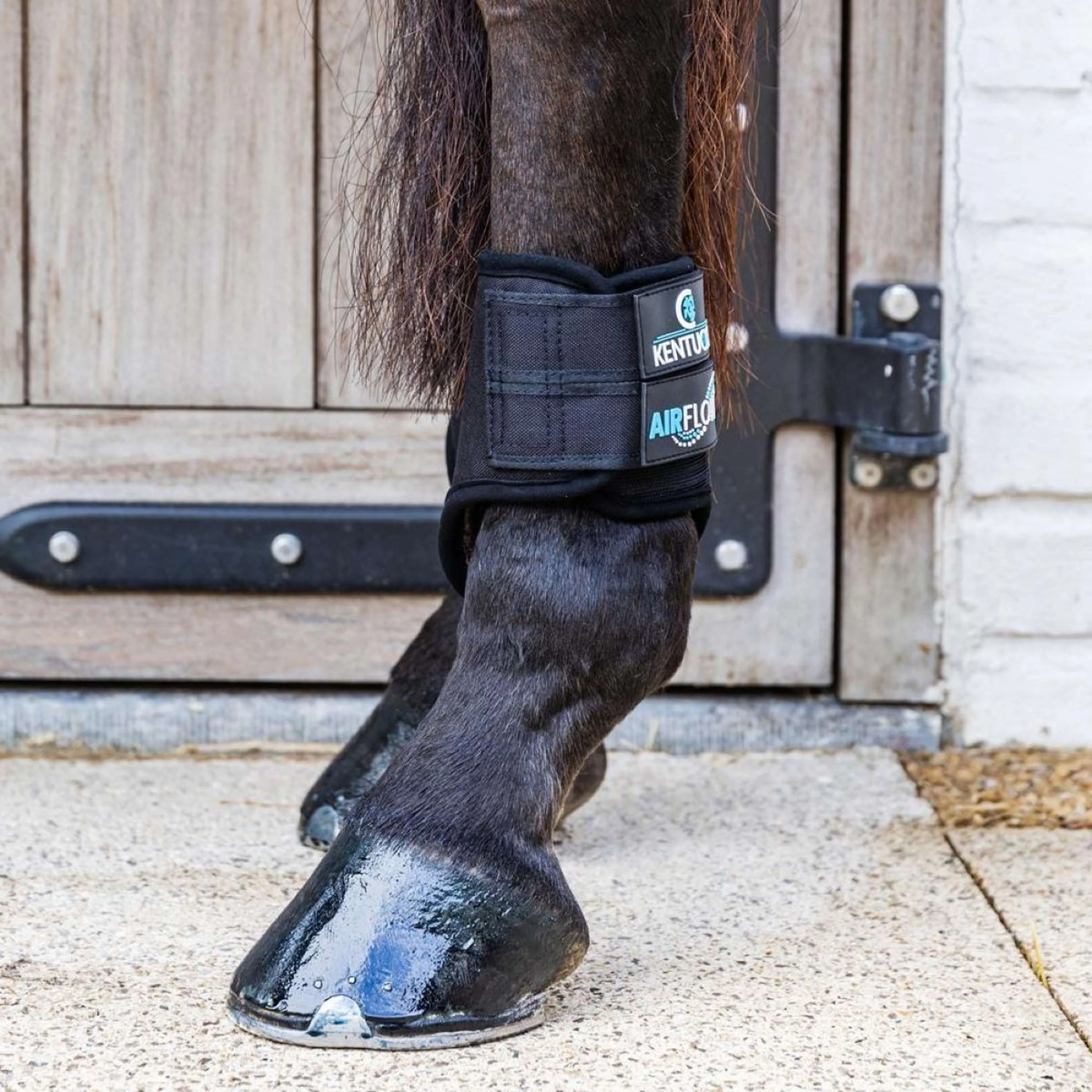 Kentucky Horsewear Stivali da completo 3D Air Flow Delicato sulla pelle Short Hind Nero - Image 3