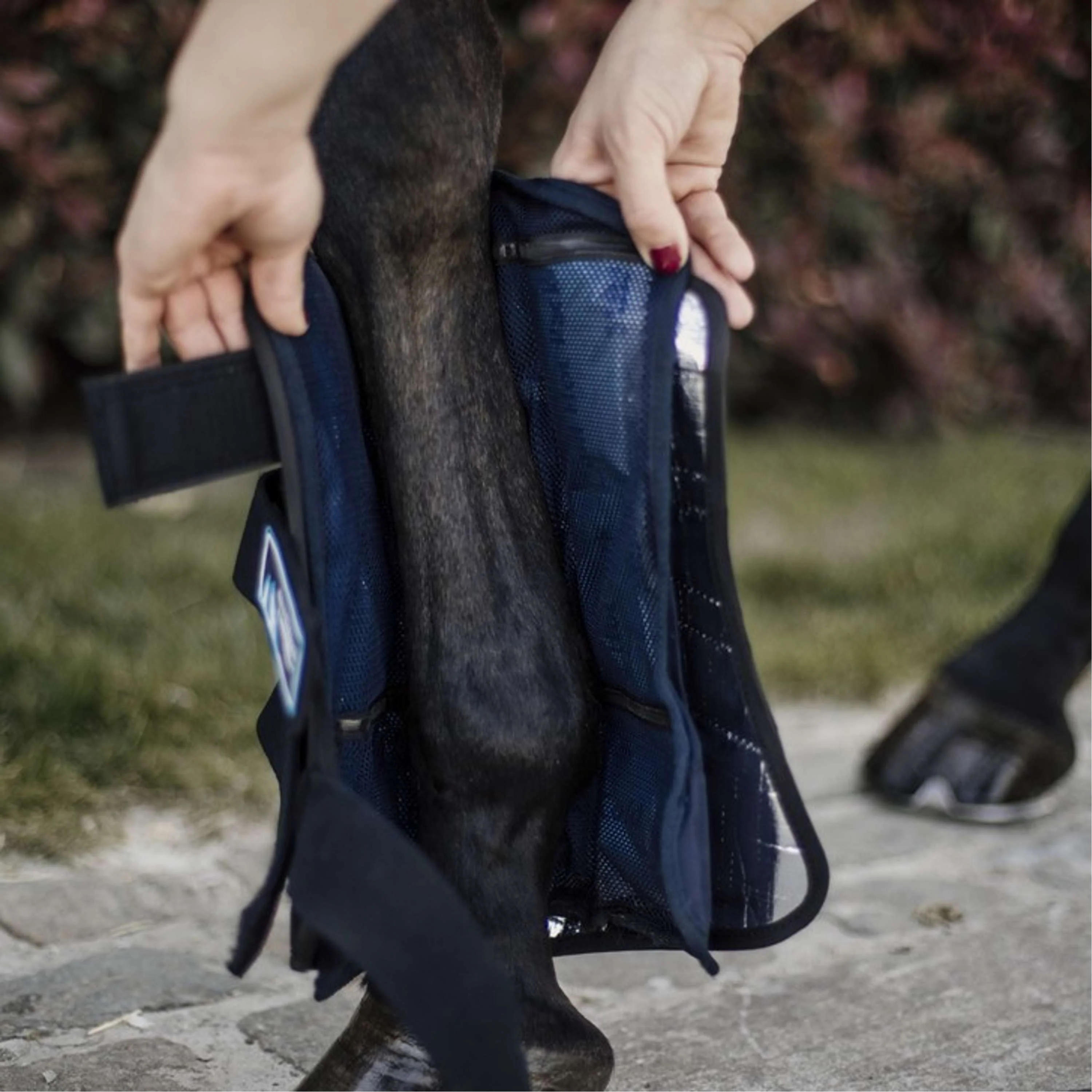 Kentucky Horsewear Stivali da ghiaccio Cryo Nero - Image 2