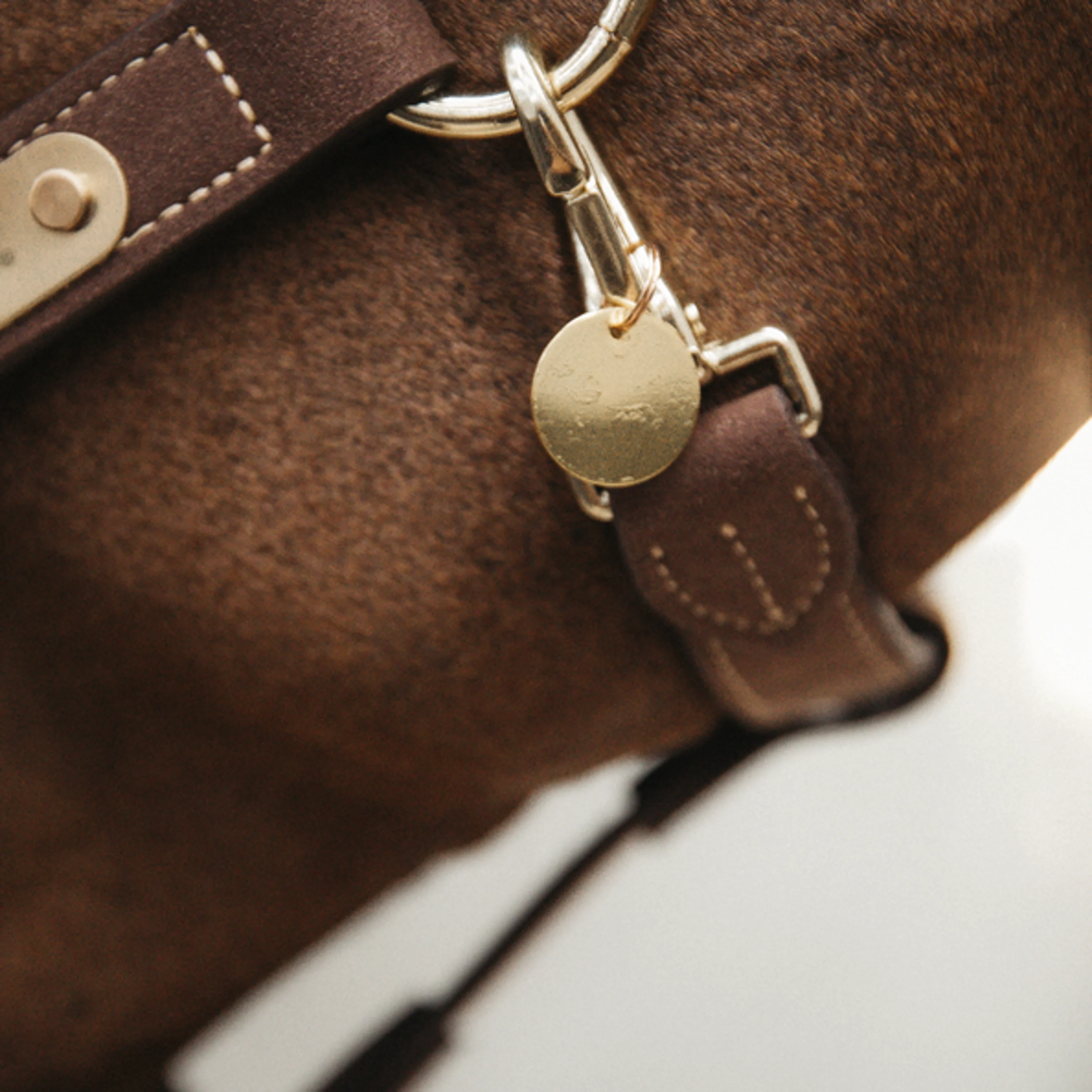 Kentucky Horsewear Targhetta Nome Oro - Image 3