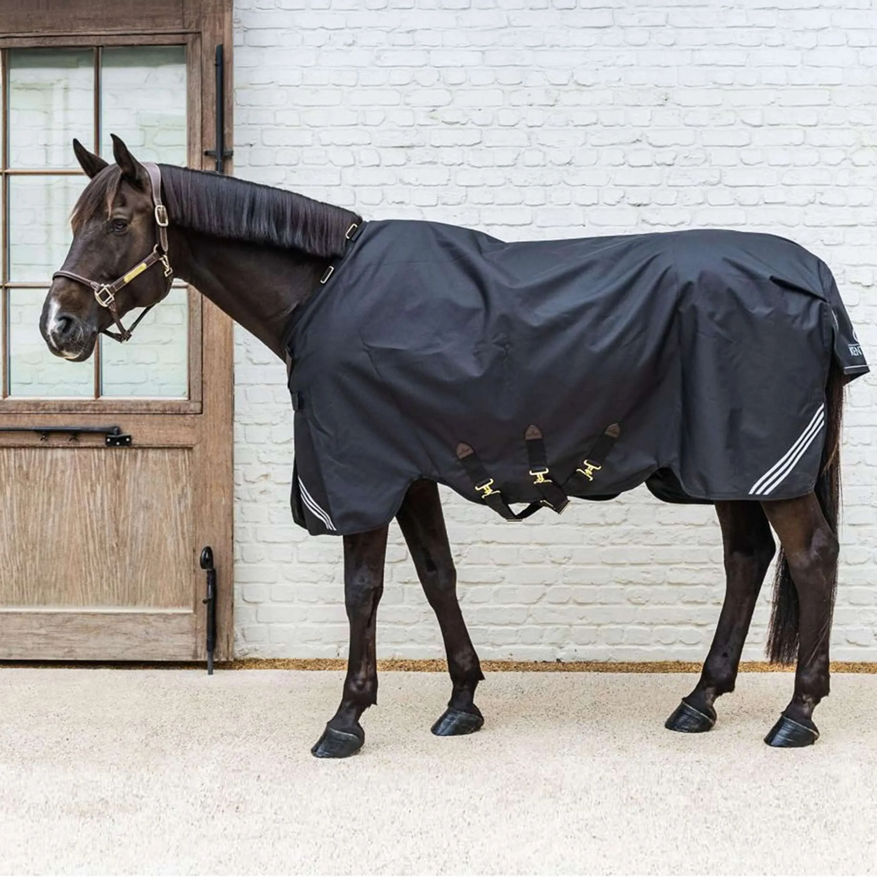 Kentucky Ritorno dell'affluenza alle urne All Weather Comfort Waterproof 0g Nero