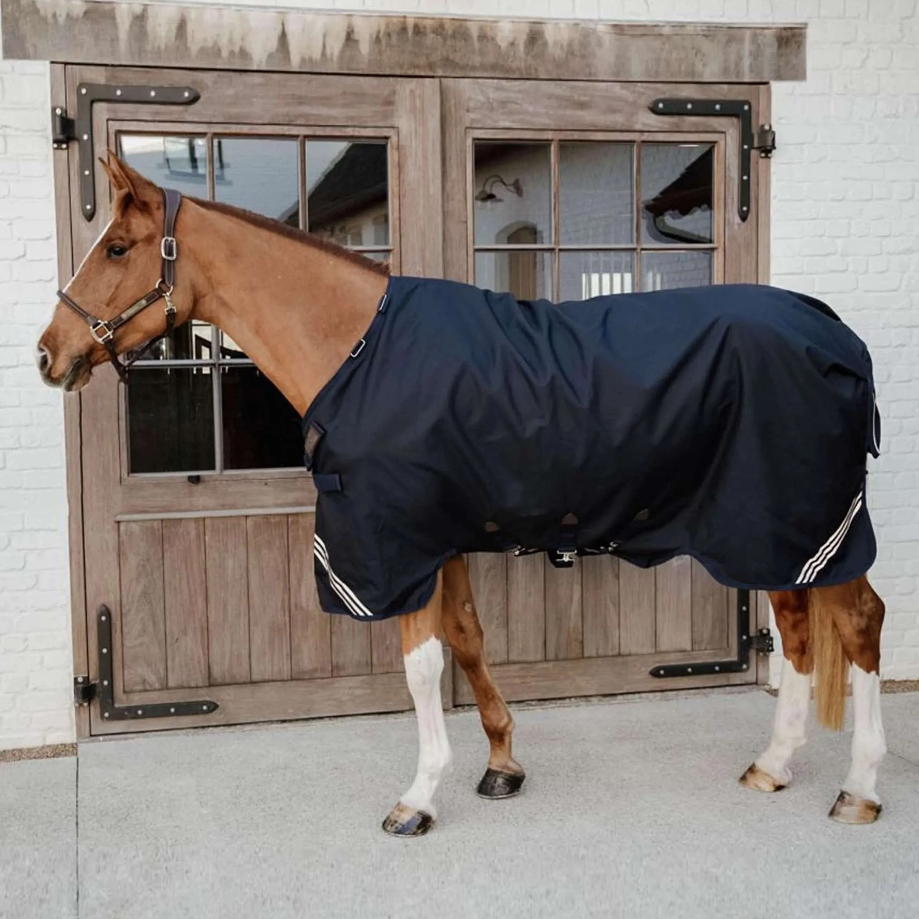 Kentucky Ritorno dell'affluenza alle urne All Weather Comfort Waterproof 0g Nero - Image 2
