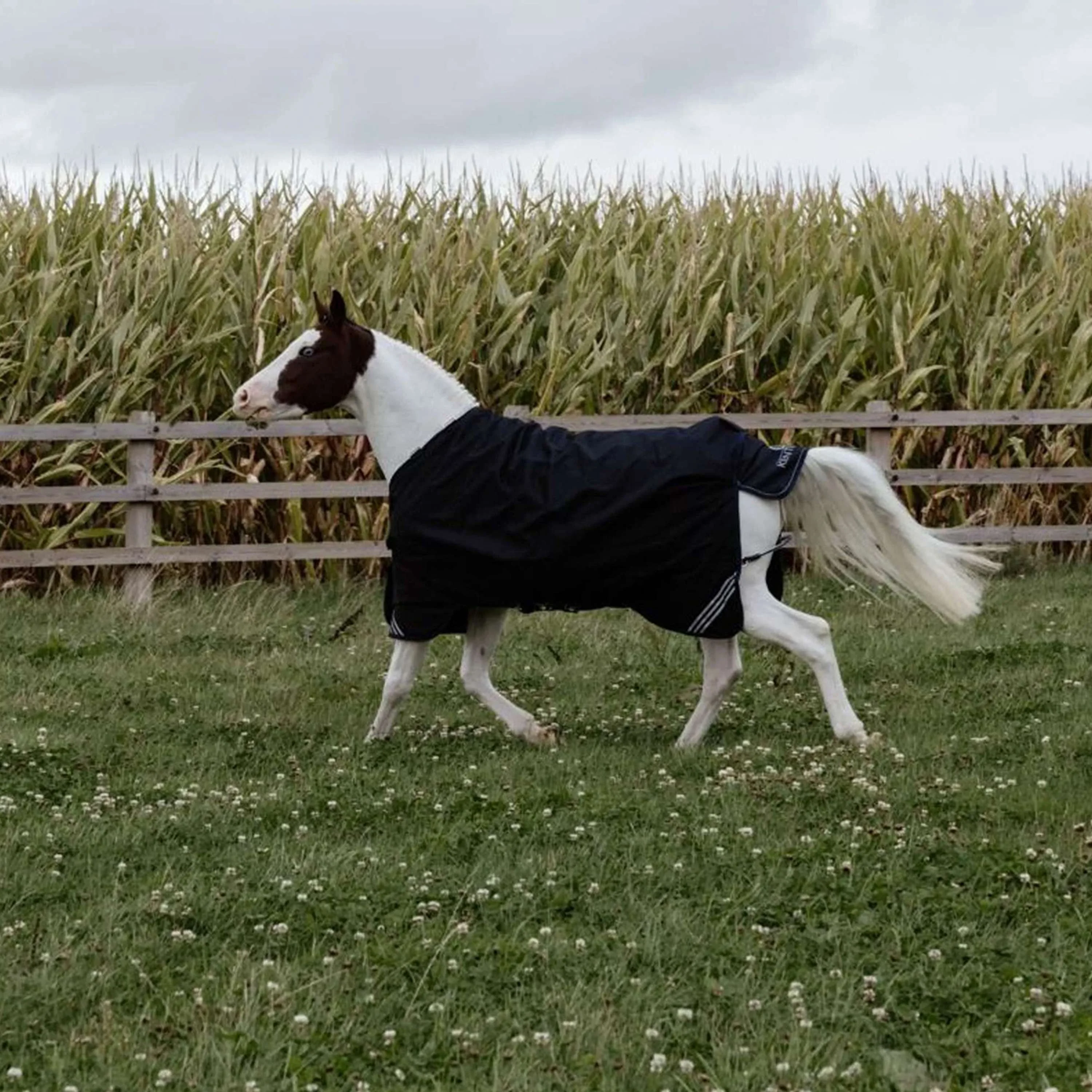 Kentucky Ritorno dell'affluenza alle urne All Weather Comfort Waterproof 0g Nero - Image 3