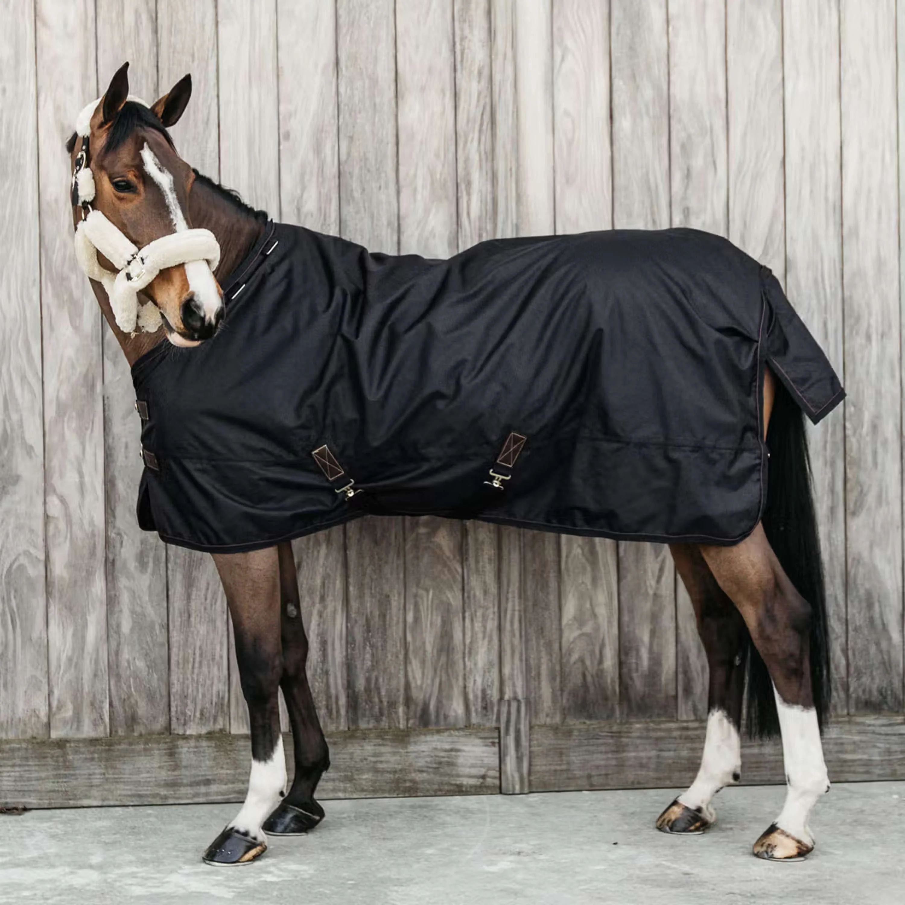 Kentucky Ritorno dell'affluenza alle urne All Weather Waterproof Pro 0g Nero