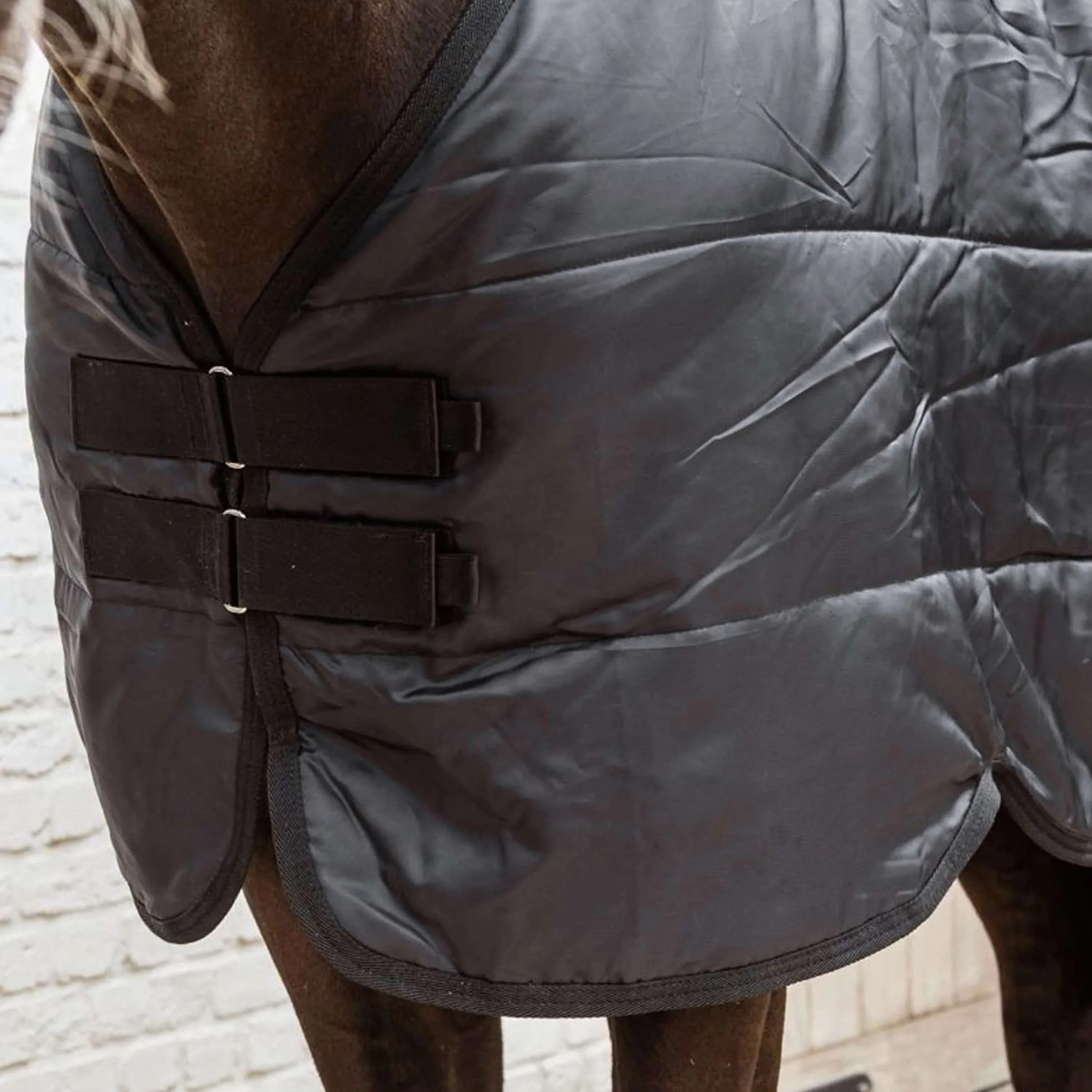 Kentucky Ritorno dell'affluenza alle urne Comfort Liner 200g Nero - Image 2