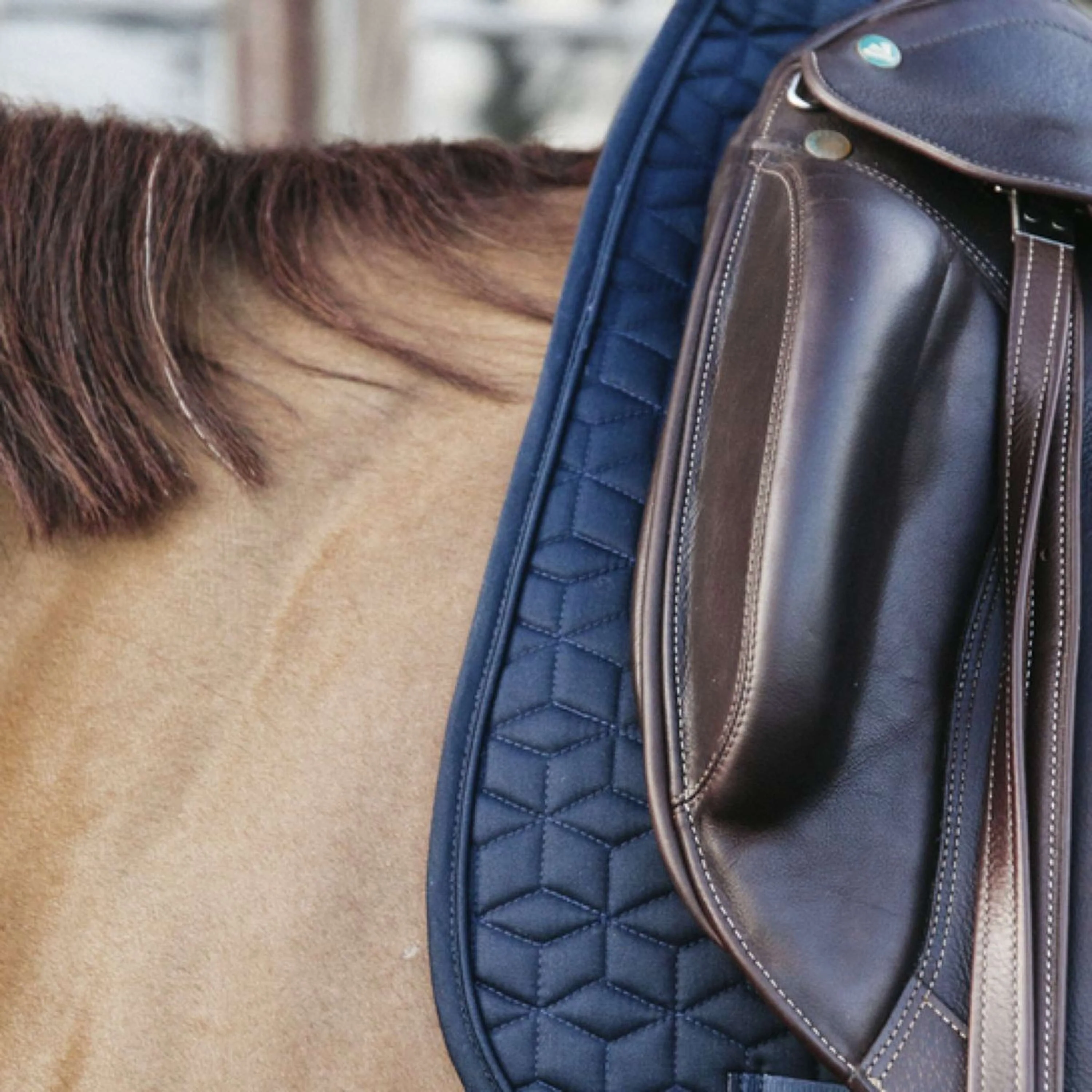 Kentucky Sottosella Classic Dressage Navy - Image 3