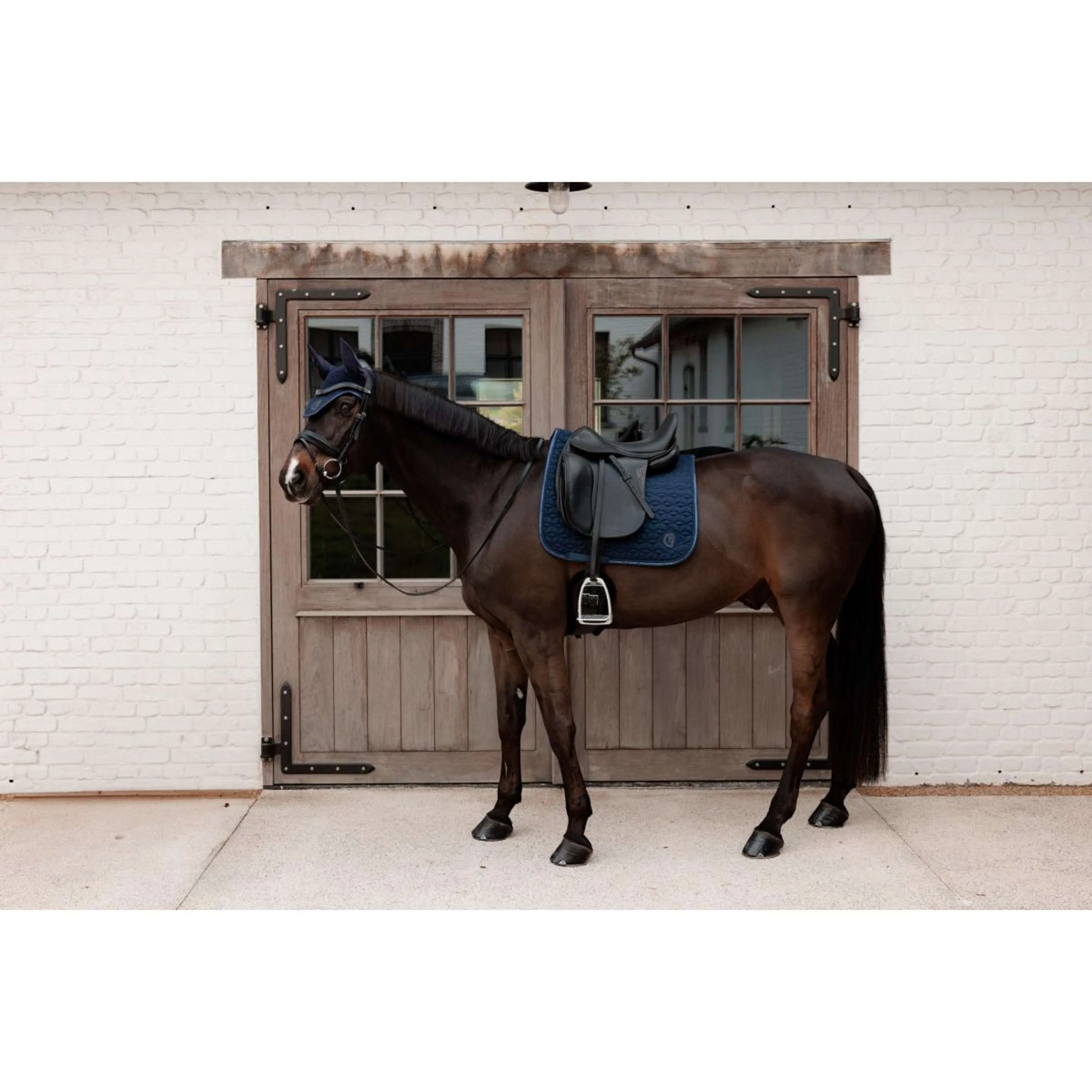 Kentucky Sottosella Sparkling Dressage Navy - Image 2