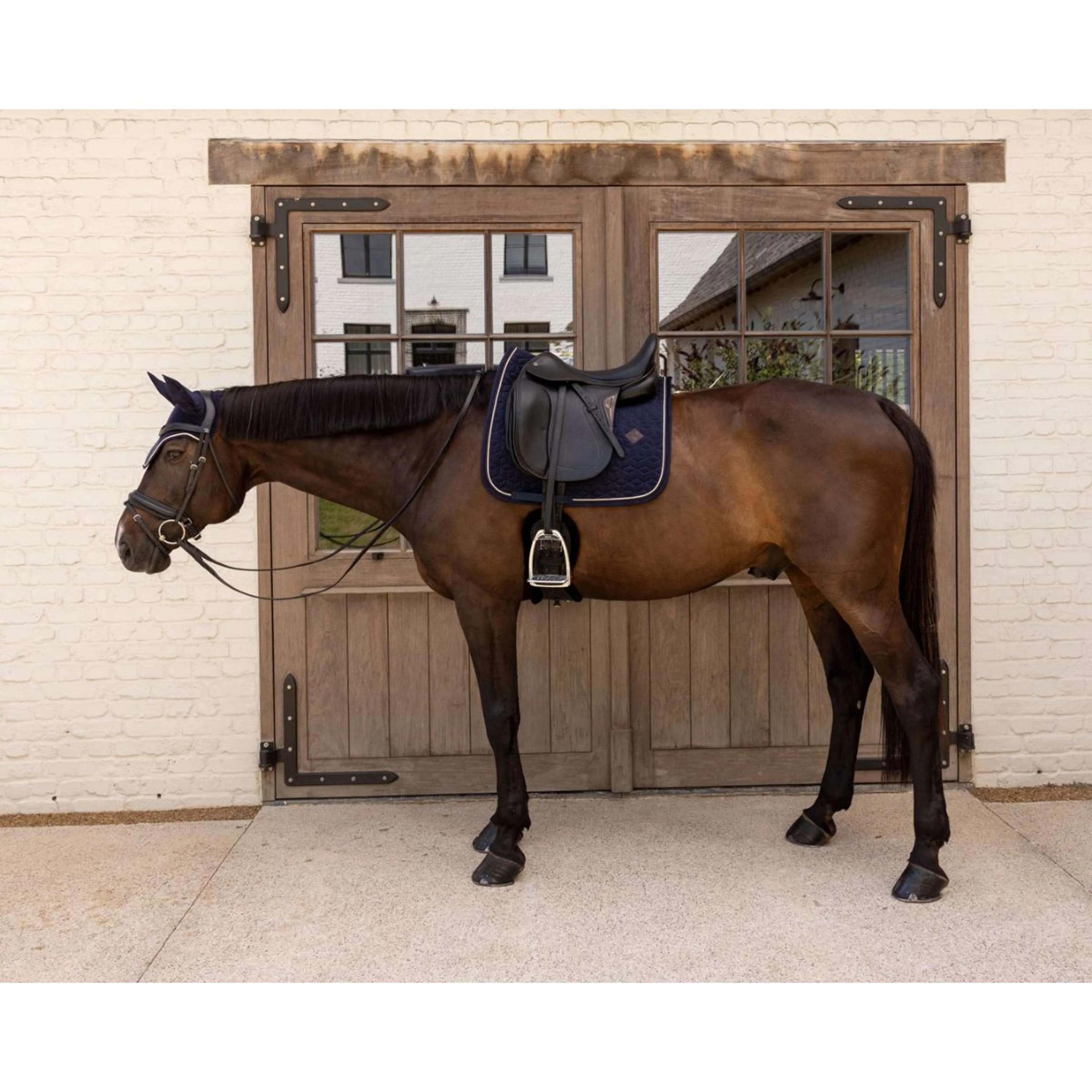 Kentucky Sottosella Velvet Dressage Dark Navy - Image 2
