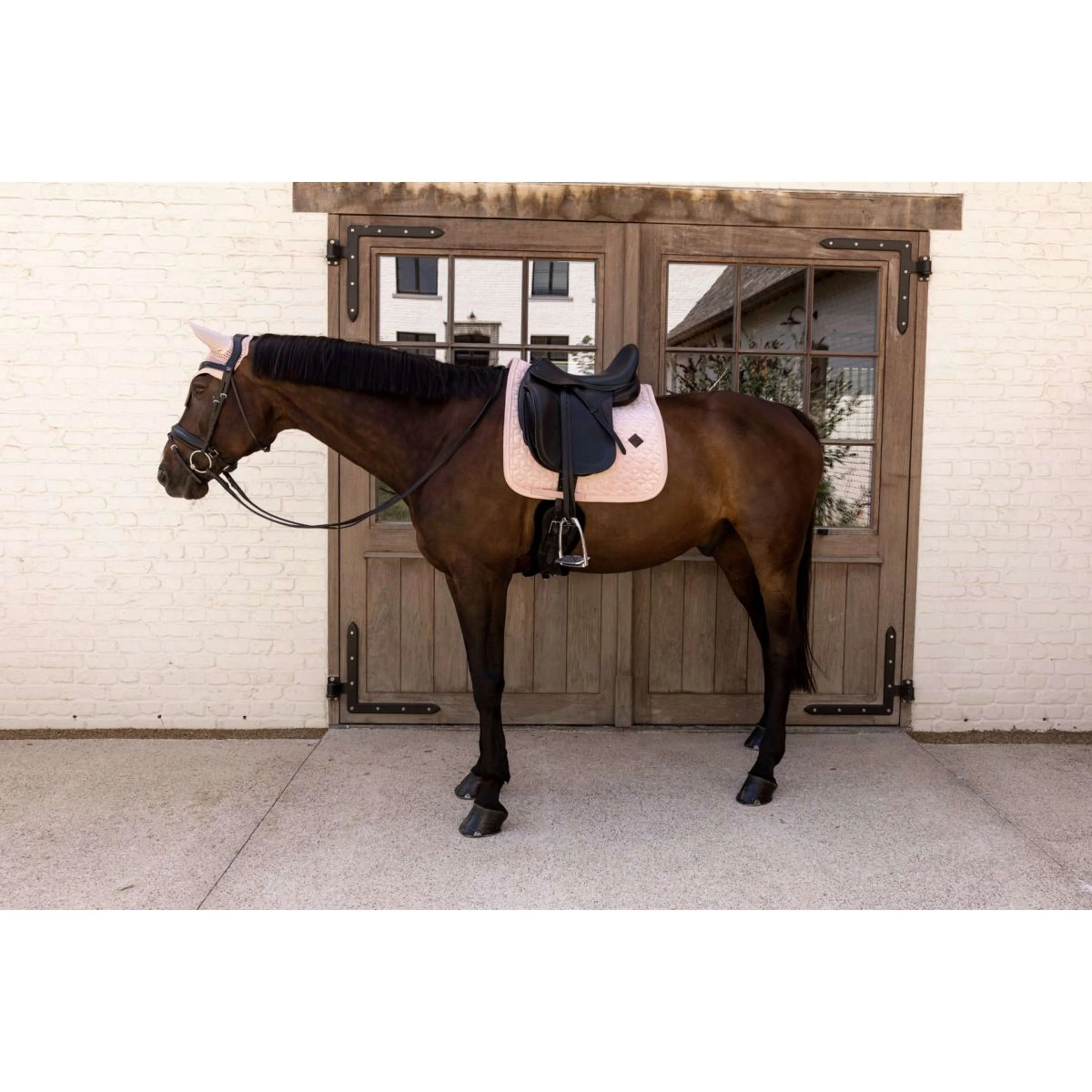 Kentucky Sottosella Velvet Dressage Soft Rose - Image 2