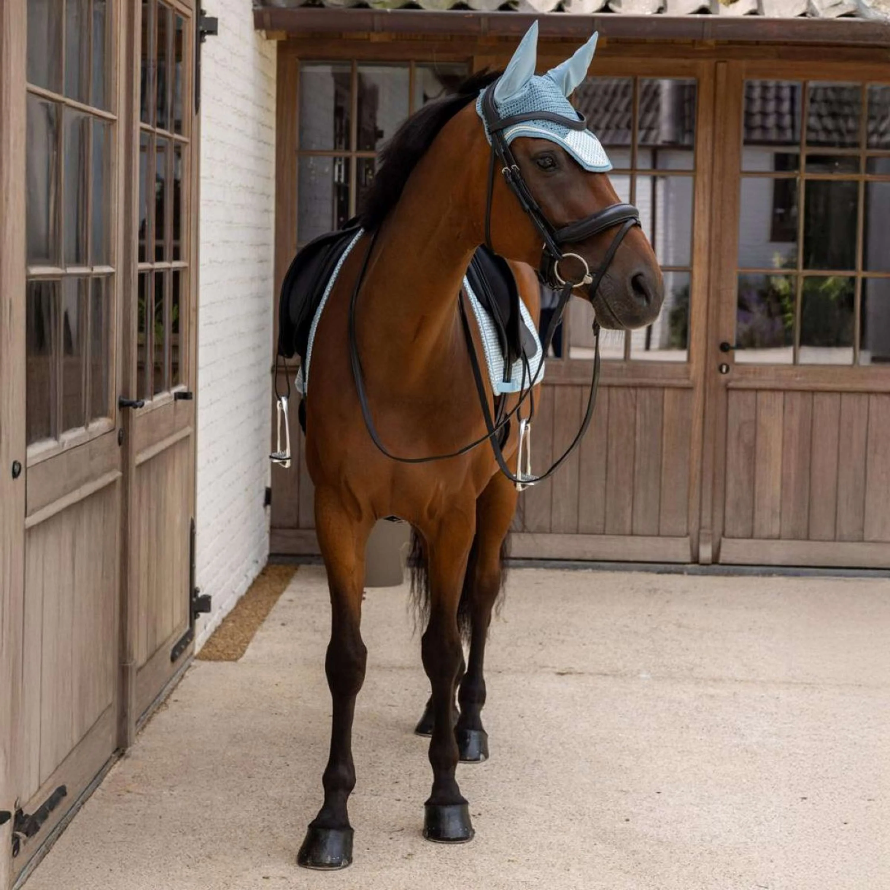 Kentucky Sottosella Velvet Flags Dressage Azzurro - Image 4