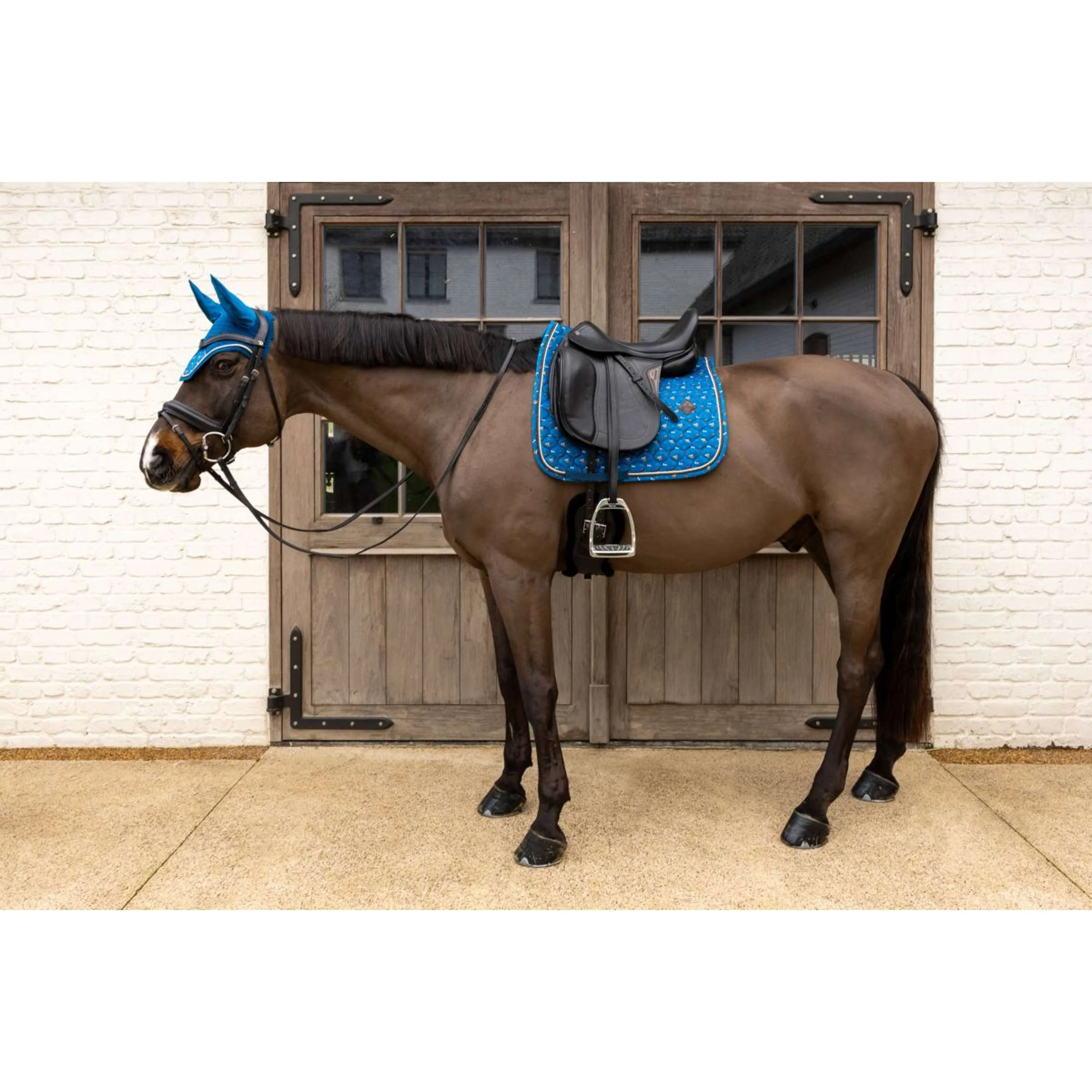 Kentucky Sottosella Velvet Horse Printing Dressage Navy - Image 3