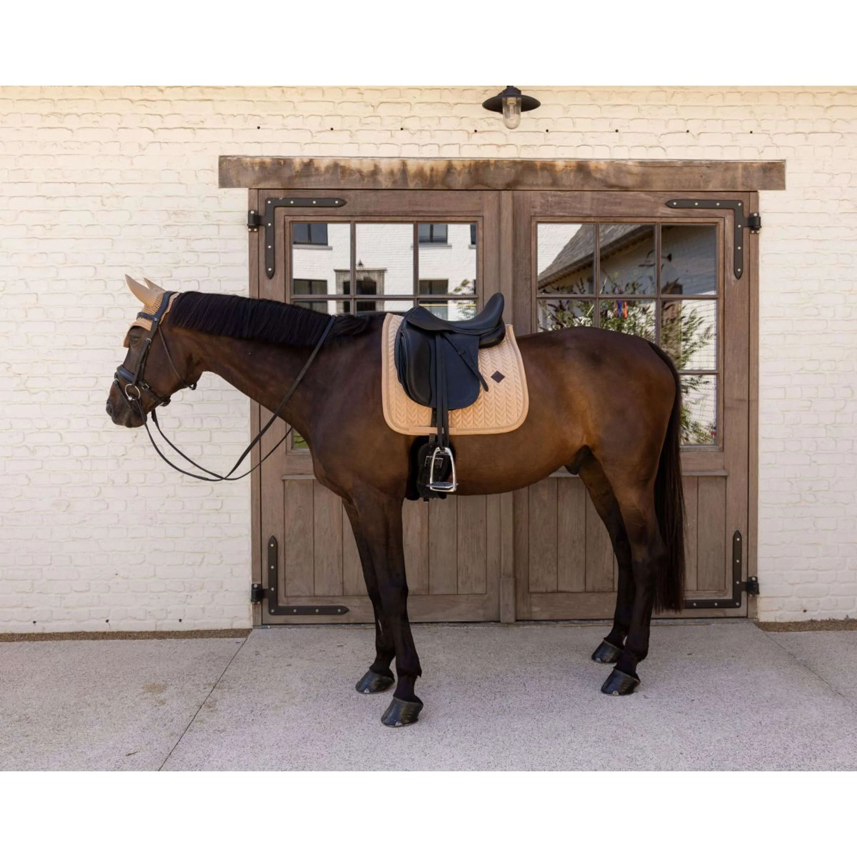 Kentucky Sottosella Velvet Mini Pearls Dressage Beige - Image 2