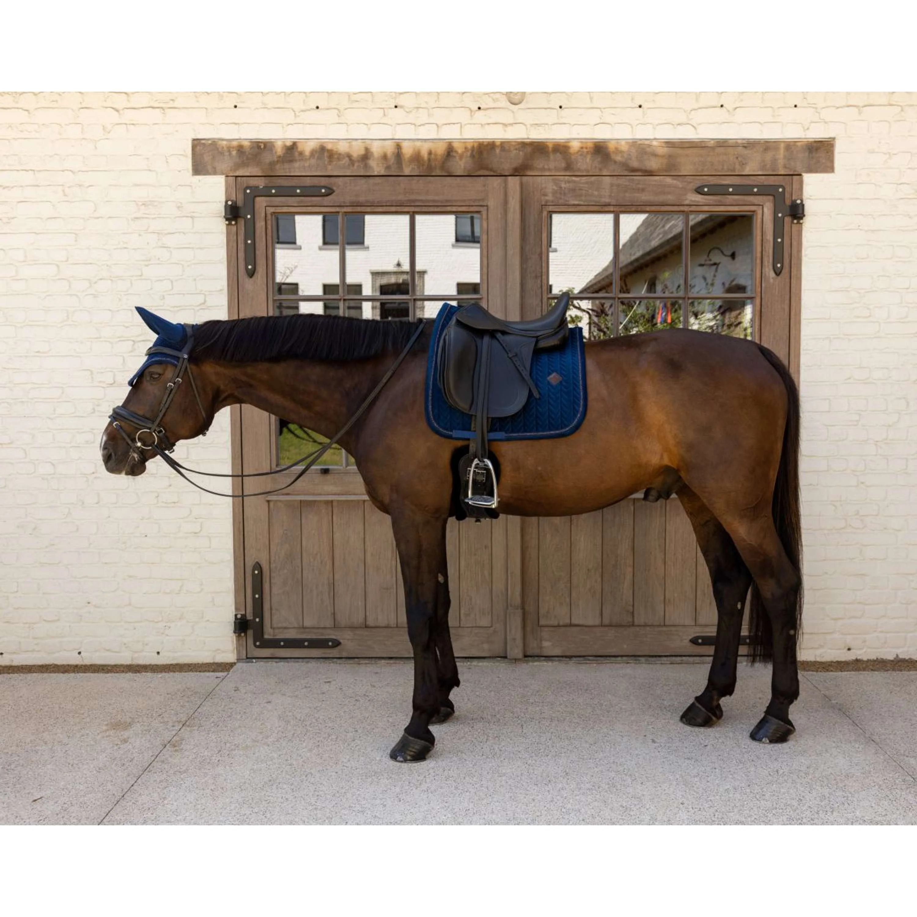 Kentucky Sottosella Velvet Mini Pearls Dressage Navy - Image 2