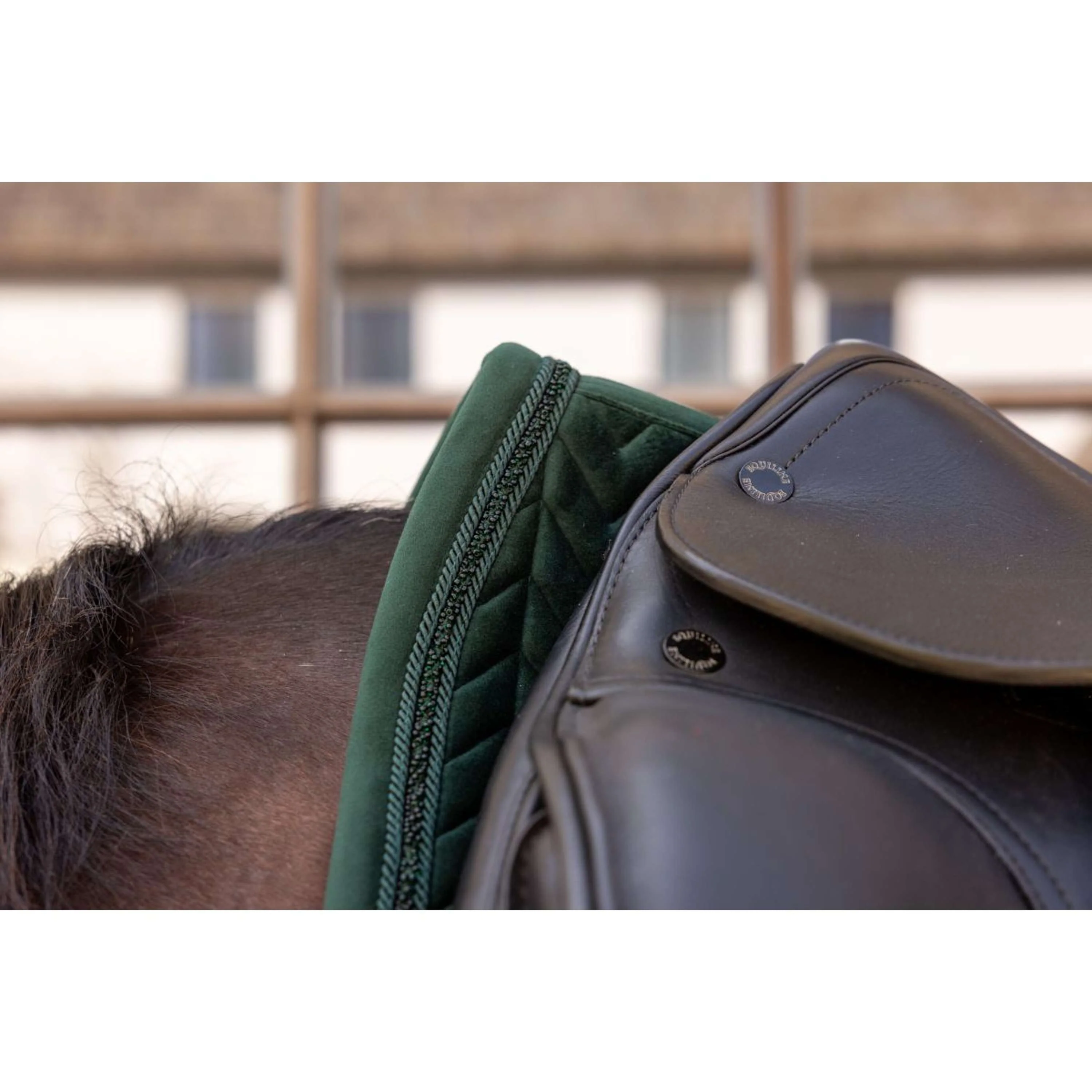 Kentucky Sottosella Velvet Mini Pearls Dressage Pine Green - Image 6