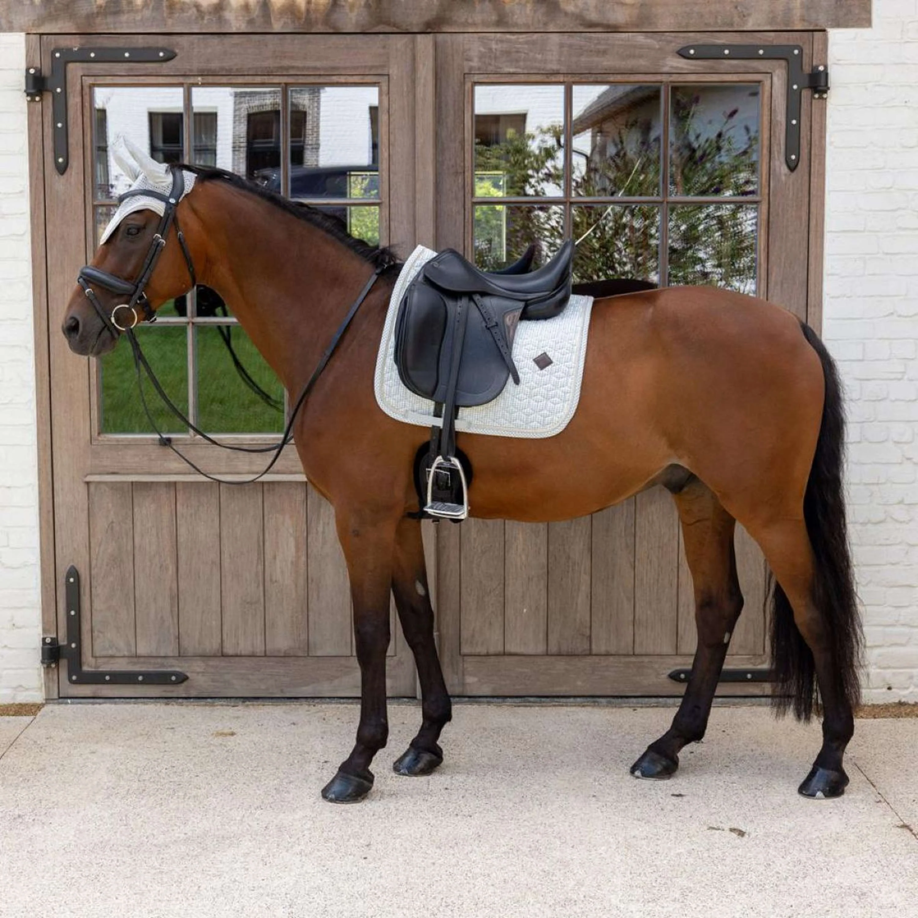 Kentucky Sottosella Velvet Flags Dressage Azzurro - Image 3