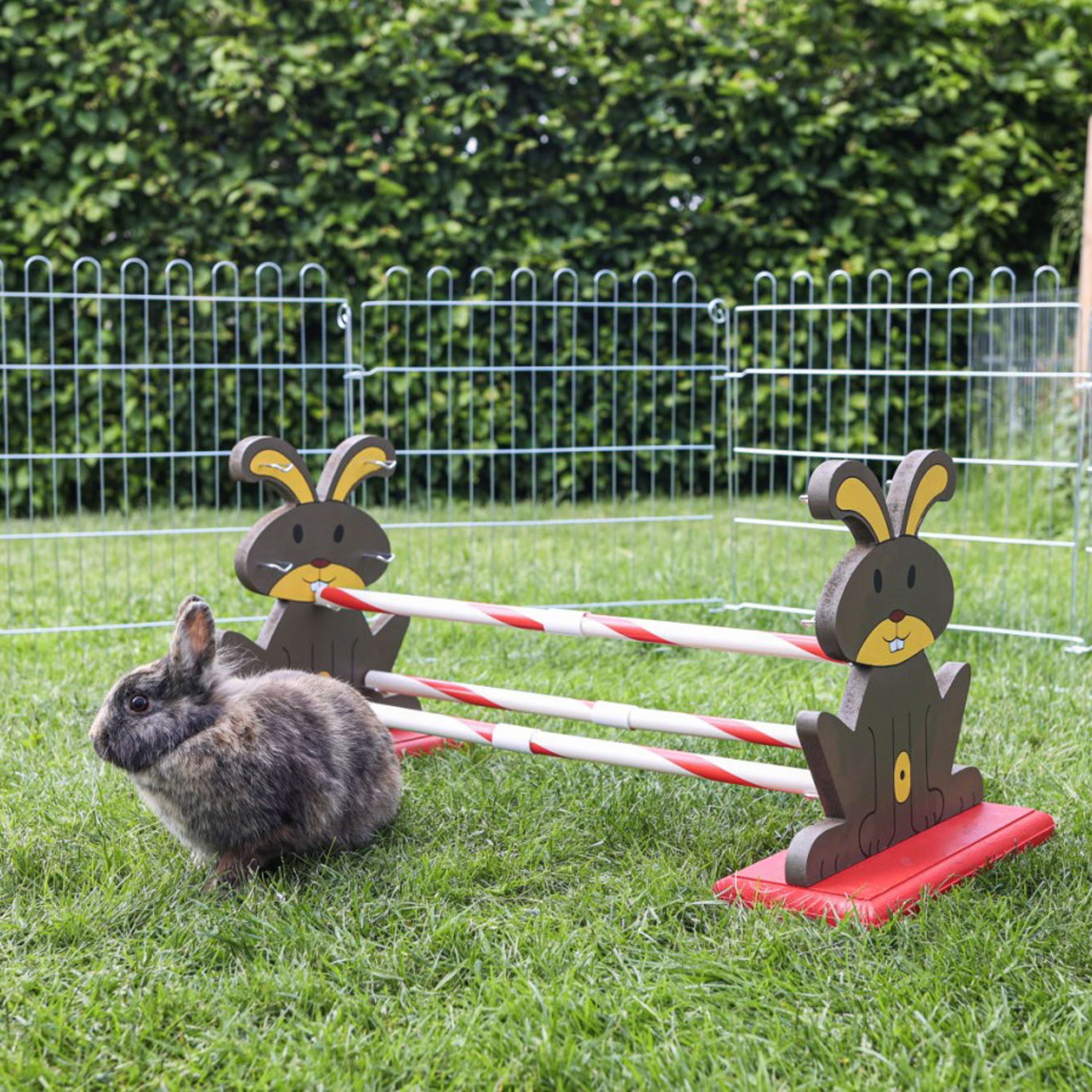 Kerbl Coniglio Hurdle Agility - Image 2