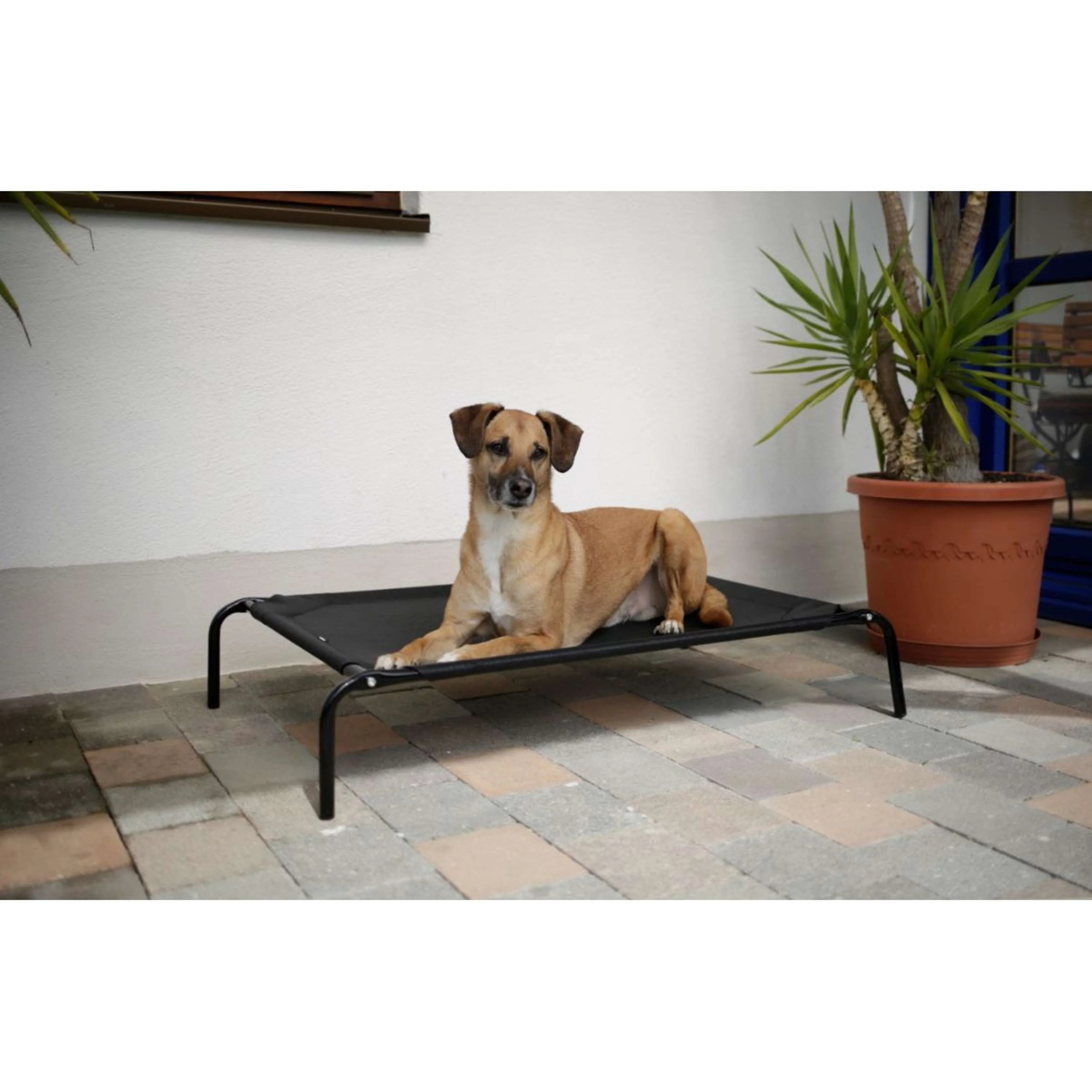 Kerbl Cuccia per Cane Vacation Nero - Image 2
