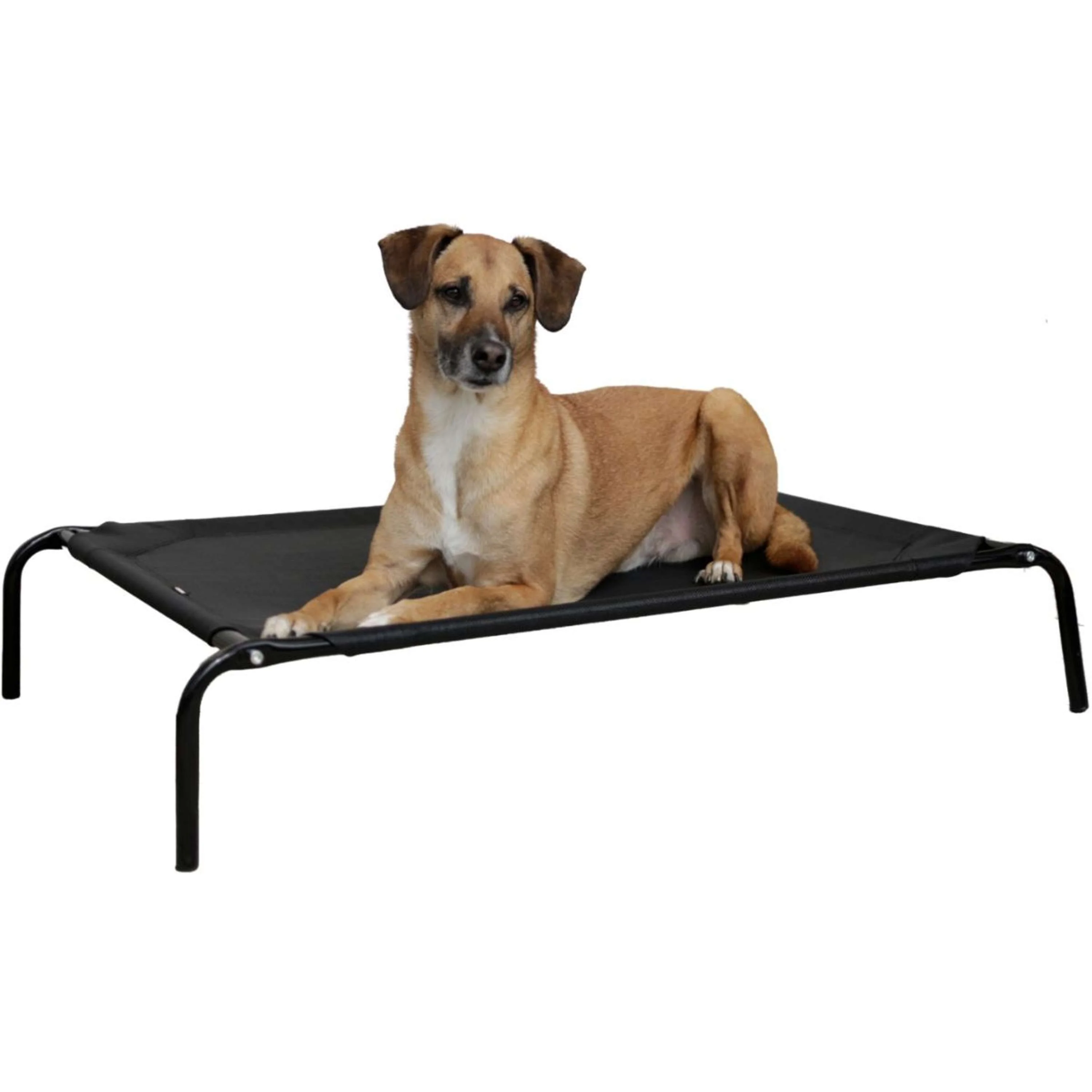 Kerbl Cuccia per Cane Vacation Nero - Image 4